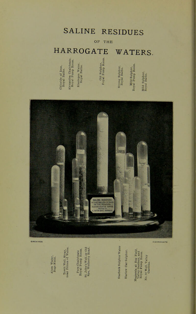 SALINE RESIDUES OF THE HARROGATE WATERS. ;ate. ■UlOO 'Ide of Iron, ral Baths. ndra Chalybf ■al Pump Ro< u S c .5 o Old Sulphur Dyal Pump Bi u . S 00 3a cn — ..^ ild Snlphnr, Pump Room. o o s« < Kis: 1 CQ >^ o «