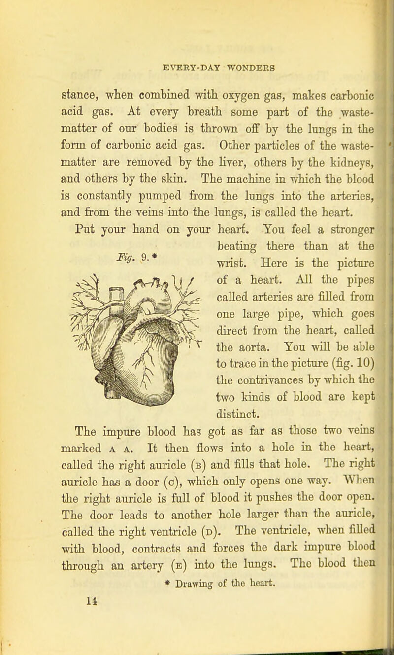Fig. 9. stance, when combined with oxygen gas, makes carbonic acid gas. At every breath some part of the waste- matter of our bodies is thrown off by the lungs in the form of carbonic acid gas. Other particles of the waste- matter are removed by the liver, others by the kidneys, and others by the skin. The machine in which the blood is constantly pumped from the lungs into the arteries, and from the veins into the lungs, is called the heart. Put your hand on your heart. You feel a stronger beating there than at the wrist. Here is the picture of a heart. All the pipes called arteries are filled from one large pipe, which goes direct from the heart, called the aorta. You will be able to trace in the picture (fig. 10) the contrivances by which the two kinds of blood are kept distinct. The impure blood has got as far as those two veins marked a a. It then flows into a hole in the heart, called the right auricle (b) and fills that hole. The right auricle has a door (c), which only opens one way. When the right auricle is full of blood it pushes the door open. The door leads to another hole larger than the auricle, called the right ventricle (d). The ventricle, when filled with blood, contracts and forces the dark impure blood through an artery (e) into the lungs. The blood then * Drawing of the heart.