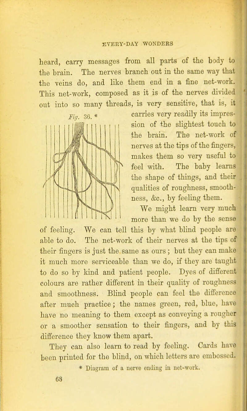 heard, carry messages from all parts of the body to the brain. The nerves branch ont in the same way that the veins do, and like them end in a fine net-work. This net-work, composed as it is of the nerves divided ont into so many threads, is very sensitive, that is, it; jpi 36 * carries very readily its impres- sion of the slightest toucb to the brain. The net-work of nerves at the tips of the fingers, makes them so very useful to feel with. The baby learns the shape of things, and then- qualities of roughness, smooth- ness, &c, by feeling them. We might learn very much more than we do by the sense We can tell this by what blind people are The net-work of their nerves at the tips of their fingers is just the same as ours ; but they can make it much more serviceable than we do, if they are taught to do so by kind and patient people. Dyes of different colours are rather different in their quality of roughness and smoothness. Blind people can feel the difference after much practice; the names green, red, blue, have have no meaning to them except as conveying a rougher or a smoother sensation to their fingers, and by this difference they know them apart. They can also learn to read by feeling. Cards have been printed for the blind, on which letters are embossed. * Diagram of a nerve ending in net-work. 68 of feeling, able to do.