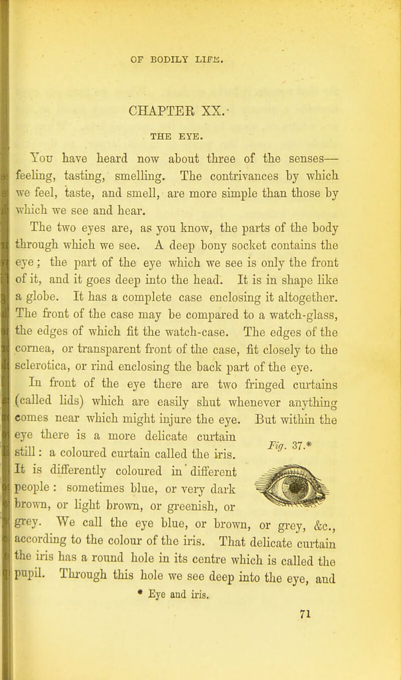 CHAPTER XX.- THE EYE. You have heard now about three of the senses— feeling, tasting, smelling. The contrivances by which we feel, taste, and smell, are more simple than those by which we see and hear. The two eyes are, as you know, the parts of the body through which we see. A deep bony socket contains the eye; the part of the eye which we see is only the front of it, and it goes deep into the head. It is in shape like a globe. It has a complete case enclosing it altogether. The front of the case may be compared to a watch-glass, the edges of which fit the watch-case. The edges of the cornea, or transparent front of the case, fit closely to the sclerotica, or rind enclosing the back part of the eye. In front of the eye there are two fringed curtains (called lids) which are easily shut whenever anything comes near which might injure the eye. But within the eye there is a more delicate curtain still: a coloured curtain called the iris. It is differently coloured in'different people : sometimes blue, or very dark brown, or light brown, or greenish, or grey. We call the eye blue, or brown, or grey, &c, according to the colour of the iris. That delicate curtain the iris has a round hole in its centre which is called the pupil. Through this hole we see deep into the eye, and * Eye and iris.