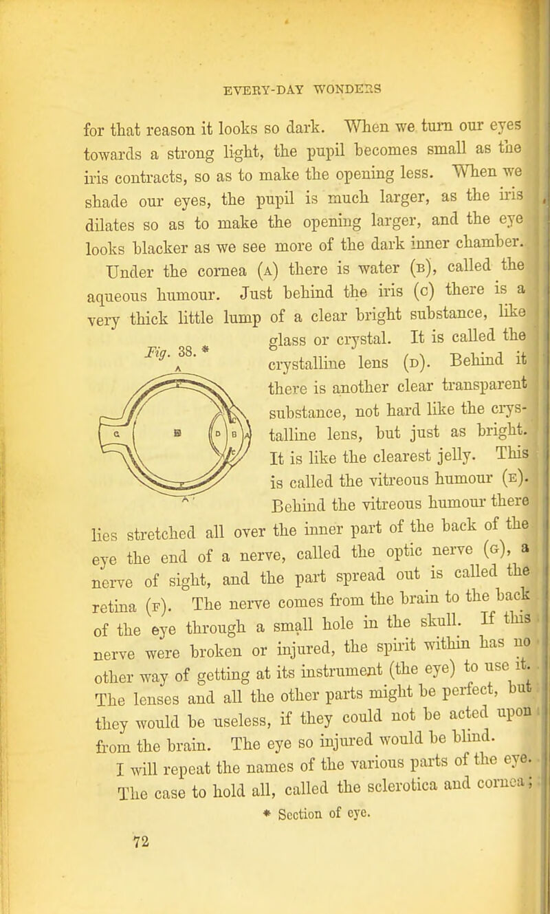 for that reason it looks so dark. When we turn our eyes! towards a strong light, the pupil becomes small as the ( iris contracts, so as to make the opening less. When we I shade our eyes, the pupil is much larger, as the insl dilates so as to make the opening larger, and the eyei looks blacker as we see more of the dark inner chamber..;! Under the cornea (a) there is water (b), called the aqueous humour. Just behind the iris (c) there is a j very thick little lump of a clear bright substance, like! glass or crystal. It is called the crystalline lens (d). Behind it there is another clear transparent substance, not hard like the crys-1 talline lens, but just as bright.] It is like the clearest jelly. This is called the vitreous humour (e)| Behind the vitreous humour there lies stretched all over the inner part of the back of the j eye the end of a nerve, called the optic nerve (o), a nerve of sight, and the part spread out is called the retina (f). The nerve comes from the brain to the back of the eye through a small hole in the skull. If this, nerve were broken or injured, the spirit within has no other way of getting at its instrument (the eye) to use it. The lenses and all the other parts might be perfect, but they would be useless, if they could not be acted upon from the brain. The eye so injured would be blind. I will repeat the names of the various parts of the eye. The case to hold all, called the sclerotica and cornea'* * Section of eye.