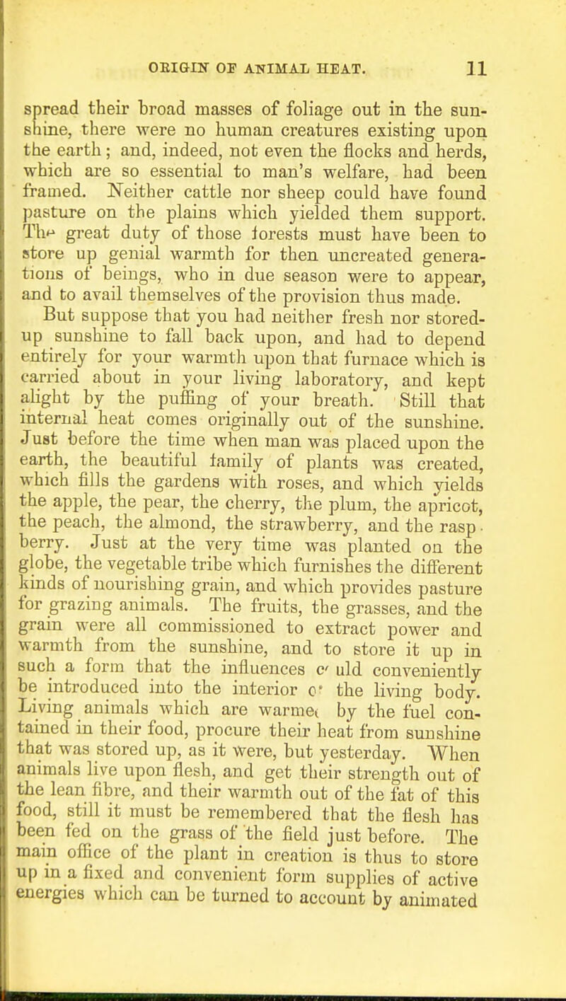 spread their broad masses of foliage out in the sun- shine, there were no human creatures existing upon the earth; and, indeed, not even the flocks and herds, which are so essential to man's welfare, had been framed. Neither cattle nor sheep could have found pasture on the plains which yielded them support. Tb>» great duty of those iorests must have been to store up genial warmth for then uncreated genera- tions of beings, who in due season were to appear, and to avail themselves of the provision thus made. But suppose that you had neither fresh nor stored- up sunshine to fall back upon, and had to depend entirely for your warmth upon that furnace which is carried about in your living laboratory, and kept alight by the puffing of your breath. Still that internal heat comes originally out of the sunshine. Just before the time when man was placed upon the earth, the beautiful family of plants was created, which fills the gardens with roses, and which yields the apple, the pear, the cherry, the plum, the apricot, the peach, the almond, the strawberry, and the rasp • berry. Just at the very time was planted on the globe, the vegetable tribe which furnishes the different kinds of nourishing grain, and which provides pasture for grazing animals. The fruits, the grasses, and the grain were all commissioned to extract power and warmth from the sunshine, and to store it up in such a form that the influences c uld conveniently be introduced into the interior o* the living body. Living animals which are warme< by the fuel con- tained in their food, procure their heat from sunshine that was stored up, as it were, but yesterday. When animals live upon flesh, and get their strength out of the lean fibre, and their warmth out of the fat of this food, still it must be remembered that the flesh has been fed on the grass of the field just before. The main office of the plant in creation is thus to store up m a fixed and convenient form supplies of active energies which can be turned to account by animated