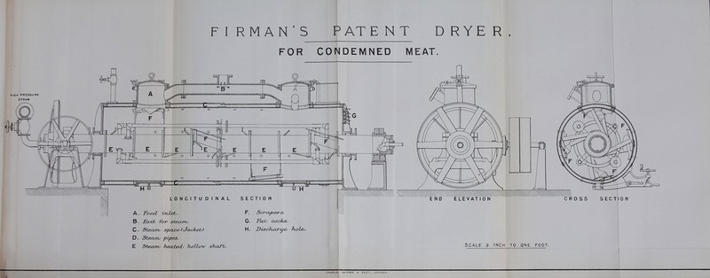 FIRMAN'S PATENT DRYER FOR CONDEMNED MEAT. STEAM a LONGITUDINAL SECTION B. JExvt -FoT ste<tm^. D. Stecurt' -pipes. E S'tecariy Tiecube^ IicILot*- shaft/. G. Fai/ cocks. H. DiscJ^uxr^e- JLoLe-. SCALE /i INCH TO ONE FOOT.