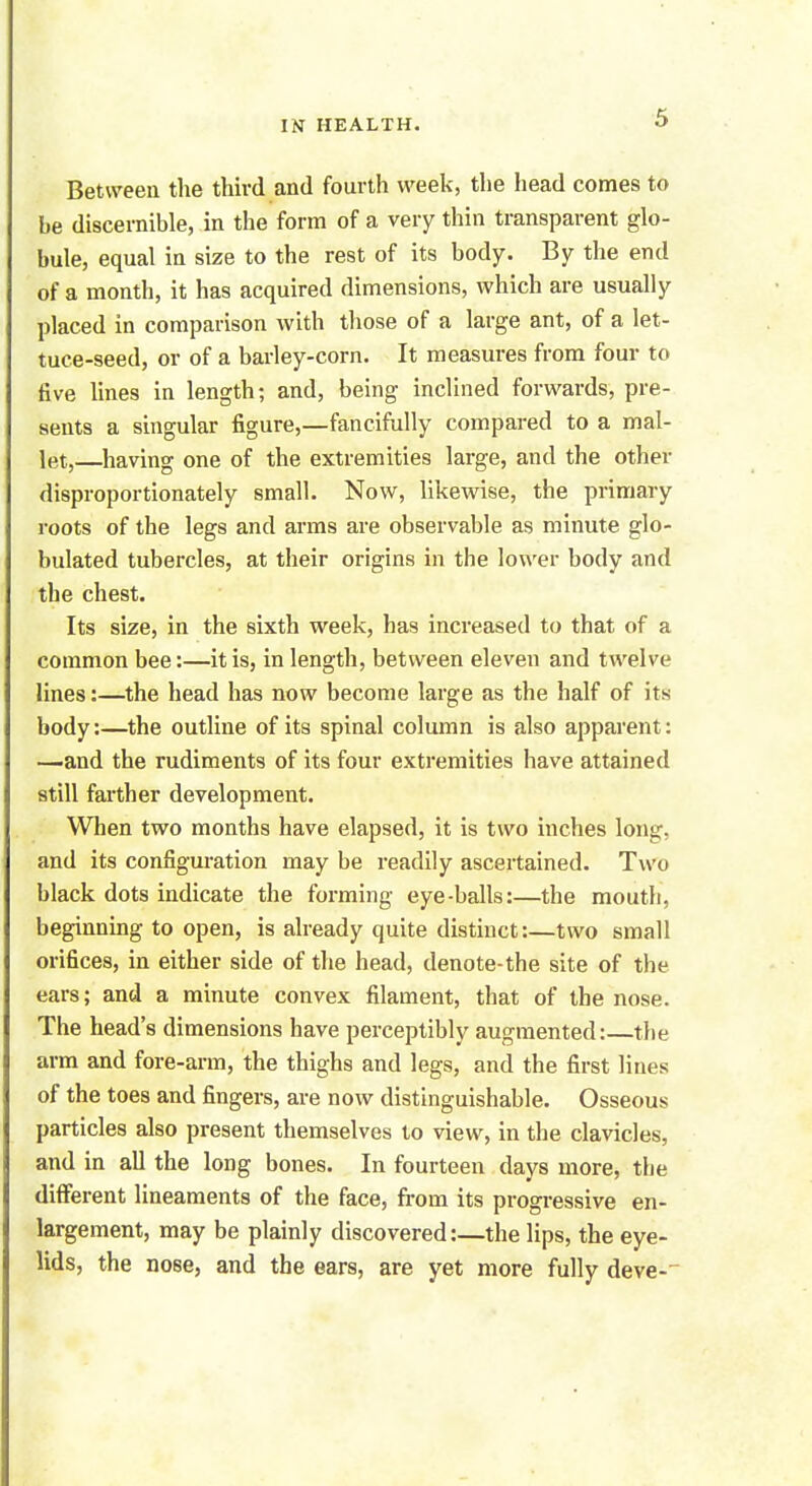 Between the third and fourth week, the head comes to be discernible, in the form of a very thin transparent glo- bule, equal in size to the rest of its body. By the end of a month, it has acquired dimensions, which are usually placed in comparison with those of a large ant, of a let- tuce-seed, or of a barley-corn. It measures from four to five lines in length; and, being inclined forwards, pre- sents a singular figure,—fancifully compared to a mal- let,—having one of the extremities large, and the other disproportionately small. Now, likewise, the primary roots of the legs and arms are observable as minute glo- bulated tubercles, at their origins in the lower body and the chest. Its size, in the sixth week, has increased to that of a common bee:—it is, in length, between eleven and twelve lines:—the head has now become large as the half of its body:—the outline of its spinal column is also apparent: —and the rudiments of its four extremities have attained still farther development. When two months have elapsed, it is two inches long, and its configuration may be readily ascertained. Two black dots indicate the forming eye-balls:—the mouth, beginning to open, is already quite distinct:—two small orifices, in either side of the head, denote-the site of the ears; and a minute convex filament, that of the nose. The head's dimensions have perceptibly augmented:—the arm and fore-arm, the thighs and legs, and the first lines of the toes and fingers, are now distinguishable. Osseous particles also present themselves to view, in the clavicles, and in all the long bones. In fourteen days more, the different lineaments of the face, from its progressive en- largement, may be plainly discovered:—the lips, the eye- lids, the nose, and the ears, are yet more fully deve-~