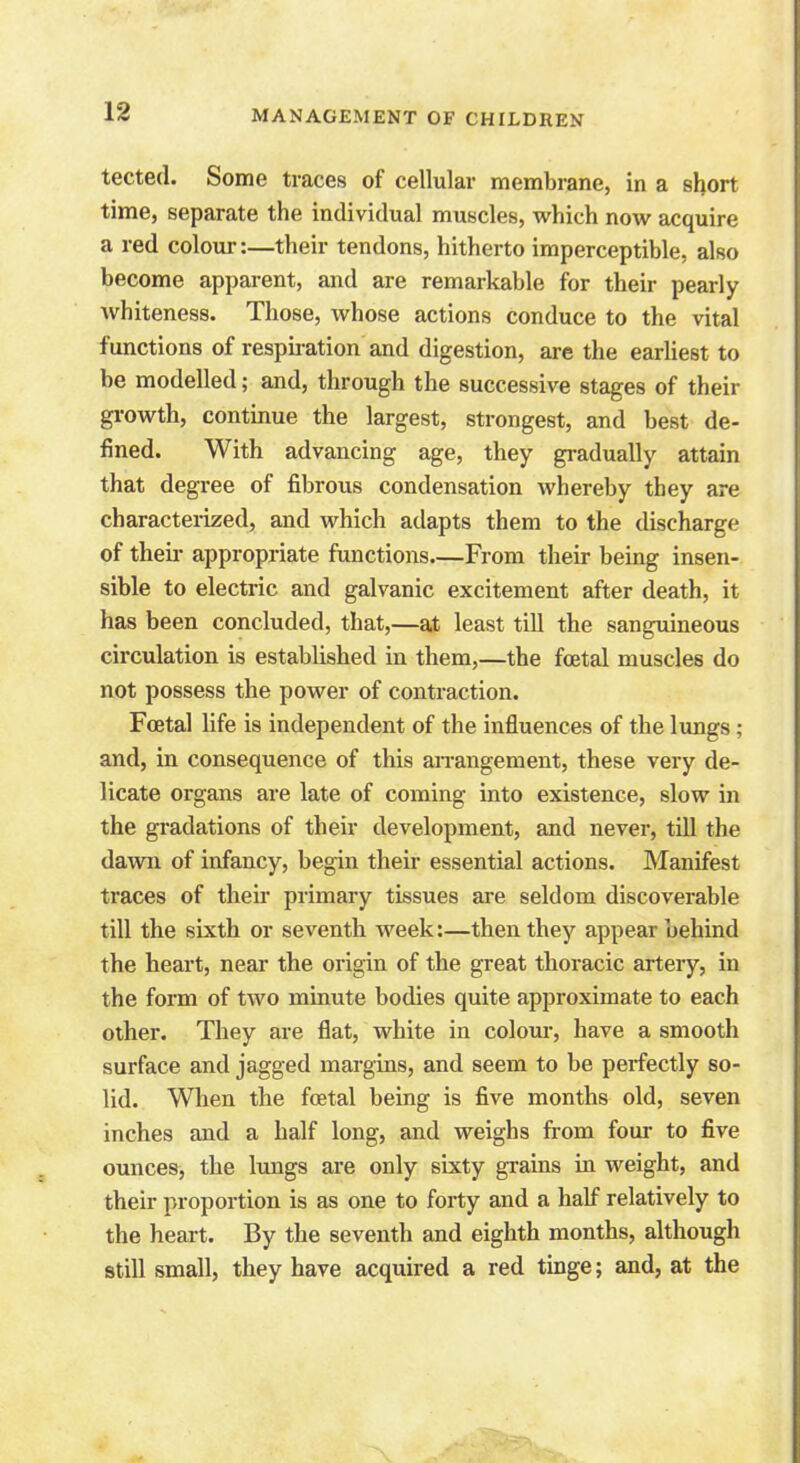 tected. Some traces of cellular membrane, in a short time, separate the individual muscles, which now acquire a red colour:—their tendons, hitherto imperceptible, also become apparent, and are remarkable for their pearly whiteness. Those, whose actions conduce to the vital functions of respiration and digestion, are the earliest to be modelled; and, through the successive stages of their growth, continue the largest, strongest, and best de- fined. With advancing age, they gradually attain that degree of fibrous condensation whereby they are characterized, and which adapts them to the discharge of their appropriate functions.—From their being insen- sible to electric and galvanic excitement after death, it has been concluded, that,—at least till the sanguineous circulation is established in them,—the foetal muscles do not possess the power of contraction. Foetal life is independent of the influences of the lungs ; and, in consequence of this arrangement, these very de- licate organs are late of coming into existence, slow in the gradations of their development, and never, till the dawn of infancy, begin their essential actions. Manifest traces of their primary tissues are seldom discoverable till the sixth or seventh week:—then they appear behind the heart, near the origin of the great thoracic artery, in the form of two minute bodies quite approximate to each other. They are flat, white in colour, have a smooth surface and jagged margins, and seem to be perfectly so- lid. When the foetal being is five months old, seven inches and a half long, and weighs from four to five ounces, the lungs are only sixty grains in weight, and their proportion is as one to forty and a half relatively to the heart. By the seventh and eighth months, although still small, they have acquired a red tinge; and, at the