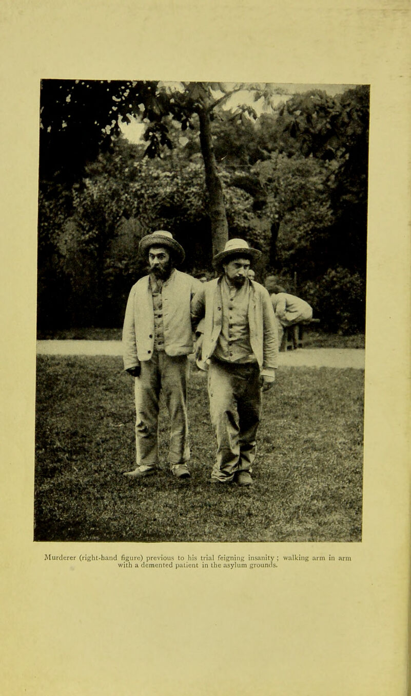 Murderer (right-hand figure) previous to his trial feigning insanity ; walking arm in arm with a demented patient in the asylum grounds.