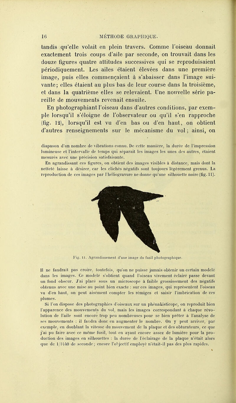 tandis qu'elle volait en plein travers. Comme l'oiseau donnait exactement trois coups d'aile par seconde, on trouvait dans les douze figures quatre attitudes successives qui se reproduisaient périodiquement. Les ailes étaient élevées dans une première image, puis elles commençaient à s'abaisser dans l'image sui- vante; elles étaient au plus bas de leur course dans la troisième, et dans la quatrième elles se relevaient. Une nouvelle série pa- reille de mouvements revenait ensuite. En photographiant l'oiseau dans d'autres conditions, par exem- ple lorsqu'il s'éloigne de l'observateur ou qu'il s'en rapproche (fig. 12), lorsqu'il est vu d'en bas ou d'en haut, on obtient d'autres renseignements sur le mécanisme du vol ; ainsi, on diapason d'un nombre de vibrations connu. De cette manière, la durée de l'impression lumineuse et l'intervalle de teimps qui séparait les images les unes des autres, étaient mesurés avec une précision satisfaisante. En agrandissant ces figures, on obtient des images visibles à distance, mais dont la netteté laisse à désirer, car les clichés négatifs sont toujours légèrement grenus. La reproduction de ces images par rhéliogravure ne donne qu'une silhouette noire (fig. 11). Fig. 11. Agrandissement d'une image du fusil pliotograpliiquc. Il ne faudrait pas croire, toutefois, qu'on ne puisse jamais obtenir un certain modelé dans les images. Ce modelé s'obtient quand l'oiseau vivement éclairé passe devant un fond obscur. J'ai placé sous un microscope à faible grossissement des négatifs obtenus avec une mise au point bien exacte : sur ces images, qui représentent l'oiseau vu d'en haut, on peut aisément compter les rémiges et saisir l'imbrication de ces plumes. Si l'on dispose des photographies d'oiseaux sur un phénakisticope, on reproduit bien l'apparence des mouvements du vol, mais les images correspondant à chaque révo- lution de l'aile sont encore trop peu nombreuses pour se bien prêter à l'analyse de SCS mouvements : il faudra donc en augmenter le nombre. On y peut arriver, par exemple, en doublant la vitesse du mouvement de la plaque et des obturateurs, ce que j'ai pu faire avec ce môme fusil, tout en ayant encore assez de lumière pour la pro- duction des images en silhouettes : la durée de l'éclairage de la plaque n'était alors que de 1/1'i40 de seconde; encore l'ol'jectif employé n'était-il pas des plus rapides.