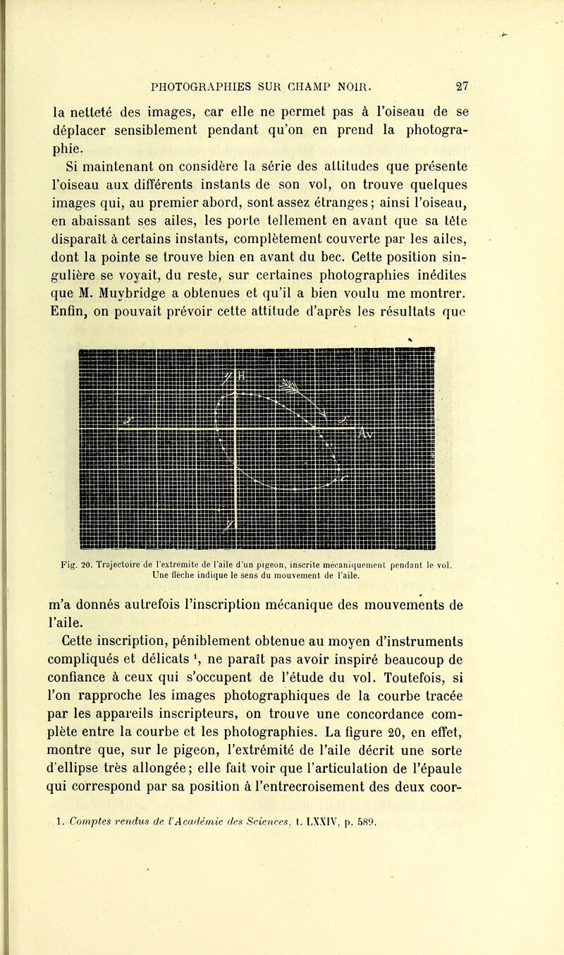 la netteté des images, car elle ne permet pas à l'oiseau de se déplacer sensiblement pendant qu'on en prend la photogra- phie. Si maintenant on considère la série des altitudes que présente l'oiseau aux différents instants de son vol, on trouve quelques images qui, au premier abord, sont assez étranges ; ainsi l'oiseau, en abaissant ses ailes, les poi te tellement en avant que sa tête disparaît à certains instants, complètement couverte par les ailes, dont la pointe se trouve bien en avant du bec. Cette position sin- gulière se voyait, du reste, sur certaines photographies inédites que M. Muybridge a obtenues et qu'il a bien voulu me montrer. Enfln, on pouvait prévoir cette attitude d'après les résultats que Fig. 20. Trajectoire de rextrémite de l'aile dun pigeon, inscrite mécaniquement pendant le vol. Une flèche indique le sens du mouTcment de l'aile. m'a donnés autrefois l'inscription mécanique des mouvements de l'aile. Cette inscription, péniblement obtenue au moyen d'instruments compliqués et délicats *, ne paraît pas avoir inspiré beaucoup de confiance à ceux qui s'occupent de l'étude du vol. Toutefois, si l'on rapproche les images photographiques de la courbe tracée par les appareils inscripteurs, on trouve une concordance com- plète entre la courbe et les photographies. La figure 20, en effet, montre que, sur le pigeon, l'extrémité de l'aile décrit une sorte d'ellipse très allongée; elle fait voir que l'articulation de l'épaule qui correspond par sa position à l'entrecroisement des deux coor- 1. Comptes rendus de VAcadémie des Sciences, \. LXXIV, p. 589.