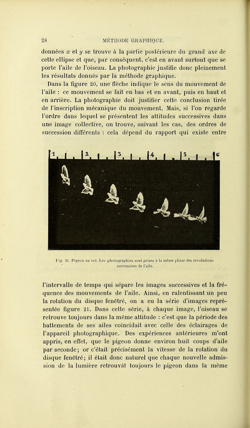 données x et y se trouve à la partie postérieure du grand axe de cette ellipse et que, par conséquent, c'est en avant surtout que se porte l'aile de l'oiseau. La photographie justifie donc pleinement les résultats donnés par la méthode graphique. Dans la figure 20, une flèche indique le sens du mouvement de l'aile : ce mouvement se fait en bas et en avant, puis en haut et en arrière. La photographie doit justifier cette conclusion tirée de l'inscription mécanique du mouvement. Mais, si l'on regarde l'ordre dans lequel se présentent les attitudes successives dans une image collective, on trouve, suivant les cas, des ordres de succession différents : cela dépend du rapport qui existe entre Fig. 'il. Pigeon au vol. Les pholographies sont prises à la même phase des révolutions successives de l'aile. l'intervalle de temps qui sépare les images successives et la fré- quence des mouvements de l'aile. Ainsi, en ralentissant un peu la rotation du disque fenêtré, on a eu la série d'images repré- sentée figure 21. Dans cette série, à chaque image, l'oiseau se retrouve toujours dans la même attitude : c'est que la période des battements de ses ailes coïncidait avec celle des éclairages de l'appareil photographique. Des expériences antérieures m'ont appris, en eff'et, que le pigeon donne environ huit coups d'aile par seconde ; or c'était précisément la vitesse de la rotation du disque fenêtré; il était donc naturel que chaque nouvelle admis- sion de la lumière retrouvât toujours le pigeon dans la même