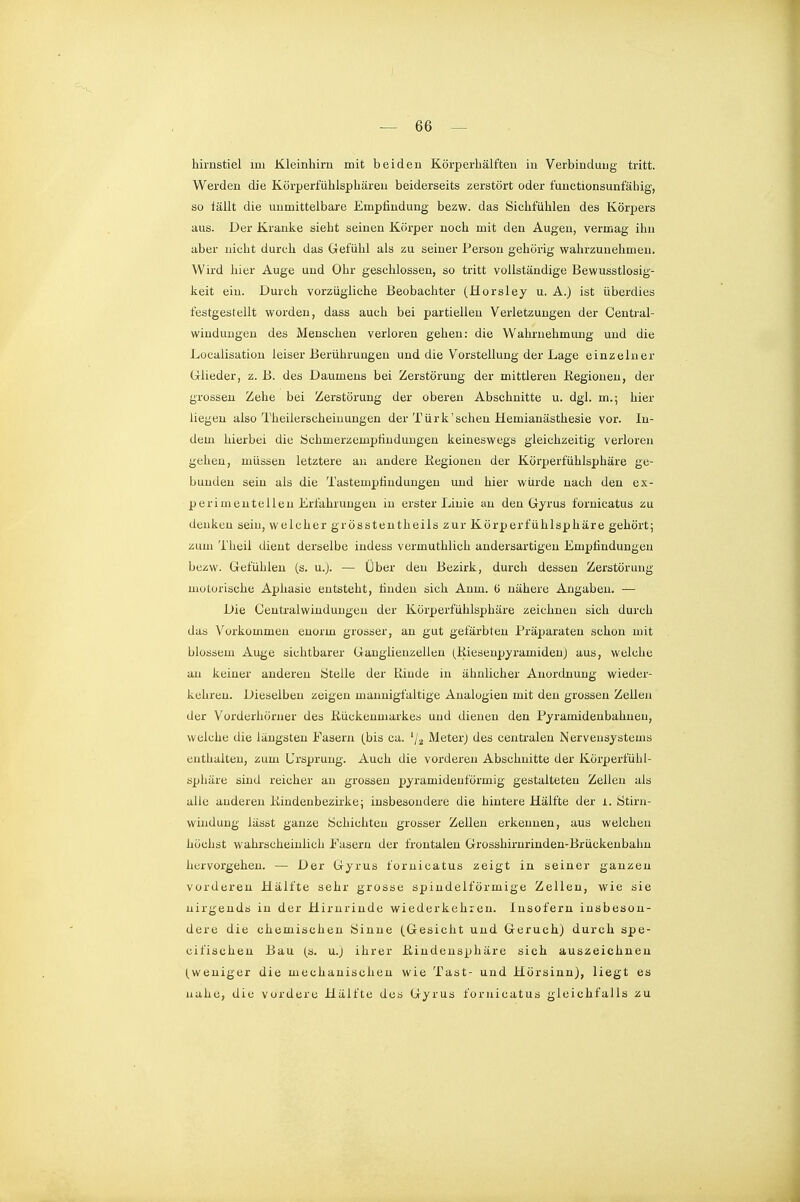 hirnstiel mi Kleinhirn mit beiden Körperbälften in Verbindung tritt. Werden die Körperfübispbäreu beiderseits zerstört oder fuuctionsunfähig, so tällt die unmittelbare Empfindung bezw. das Sichfiihlen des Körpers aus. Der Kranke sieht seinen Körper noch mit den Augen, vermag ihn aber nicht durch das Gefühl als zu seiner Person gehörig wahrzunehmen. Wird hier Auge und Ohr geschlossen, so tritt vollständige Bewusstlosig- keit ein. Durch vorzügliche Beobachter (Horsley u. A.) ist überdies festgestellt worden, dass auch bei partiellen Verletzungen der Central- windungen des Menschen verloren gehen: die Wahrnehmung und die Localisatiou leiser Berührungen und die Vorstellung der Lage einzelner Grlieder, z. B. des Daumens bei Zerstörung der mittleren ßegionen, der grossen Zehe bei Zerstörung der oberen Abschnitte u. dgl. m.; hier liegen also Theilerscheinungen der Türk'scheu Hemianästhesie vor. In- dem hierbei die Schmerzempfindungen keineswegs gleichzeitig verloren gehen, müssen letztere an andere Kegionen der Körperfühlsphäre ge- bunden sein als die Tastempfindungen und hier würde nach den ex- perimentellen Erfahrungen in erster Linie an den Gyrus foruicatus zu denken seiu, welcher grösstentheils zur Körperfühlsphäre gehört; zum Theil dient derselbe indess vermuthlich andersartigen Empfindungen bezw. Gefühlen (s. u.). — Über den Bezirk, durch dessen Zerstörung- motorische Aphasie entsteht, finden sich Anm. ü nähere Angaben. — Die Centxalwinduugen der Körperfühlsphäre zeichnen sich durch das Vorkommen enorm grosser, an gut gefärbten Präparaten schon mit blossem Auge sichtbarer Ganglienzellen (KiesenpyramideuJ aus, welche an keiner anderen Stelle der Rinde in ähnlicher Anordnung wieder- kehren. Dieselben zeigen mannigfaltige Analogien mit den grossen Zellen der Vorderhöruer des Kuckenmarkes und dienen den Pyramidenbahnen, welche die längsten Fasern (bis ca. '/a MeterJ des centralen Nervensystems enthalten, zum Ursprung. Auch die vorderen Abschnitte der Körperfühl- sphäre sind reicher au grossen pyramidenförmig gestalteten Zellen als alle anderen Itindeubezirke; insbesondere die hintere Hälfte der i. Stirn- winduug lässt ganze Schichten grosser Zellen erkennen, aus welchen höchst wahrscheinlich Fasern der frontalen Grosshirnrinden-Brückenbahu hervorgehen. — Der Gyrus fornicatus zeigt in seiner ganzen vorderen Hälfte sehr grosse spindelförmige Zellen, wie sie nirgends in der Hirnrinde wiederkehren. Insofern insbeson- dere die chemischen Sinne (Gesicht und Geruch) durch spe- cifischeu Bau (s. u.) ihrer ßindensphäre sich auszeichnen (weniger die mechanischen wie Tast- und Hörsinn), liegt es nahe, die vordere Hälfte des Gyrus fornicatus gleichfalls zu