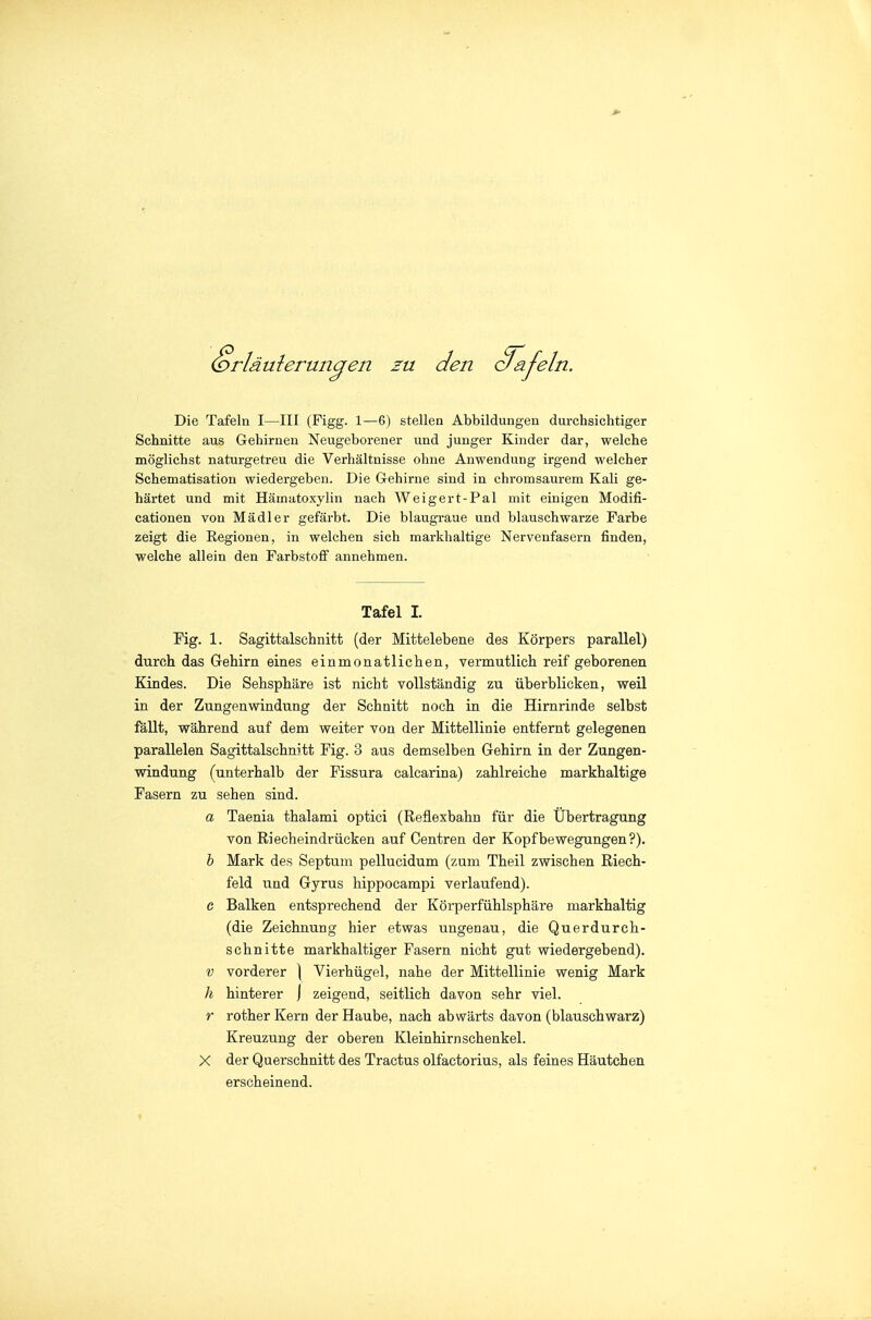 Die Tafeln I—III (Figg. 1—6) stellen Abbildungen durchsichtiger Schnitte aus Gehirnen Neugeborener und junger Kinder dar, welche möglichst naturgetreu die Verhältnisse ohne Anwendung irgend welcher Schematisation wiedergeben. Die G-ehirne sind in chromsaurem Kali ge- härtet und mit Hämatoxylin nach Weigert-Pal mit einigen Modifi- cationen von Mädler gefärbt. Die blaugi-aue und blauschwarze Farbe zeigt die Regionen, in welchen sich markhaltige Nervenfasern finden, welche allein den Farbstoff annehmen. Tafel I. Kg. 1. Sagittalschnitt (der Mittelebene des Körpers parallel) durch das Gehirn eines einmonatlichen, vermutlich reif geborenen Kindes. Die Sehsphäre ist nicht vollständig zu überblicken, weil in der Zungenwindung der Schnitt noch in die Hirnrinde selbst fällt, während auf dem weiter von der Mittellinie entfernt gelegenen parallelen Sagittalschnitt Fig. 3 aus demselben Gehirn in der Zungen- windung (unterhalb der Fissura calcarina) zahlreiche markhaltige Pasern zu sehen sind. a Taenia thalami optici (Reflexbahn für die Übertragung von Riecheindrücken auf Centren der Kopfbewegungen ?). h Mark des Septuni pellucidum (zum Theil zwischen Riech- feld und Gyrus hippocampi verlaufend). c Balken entsprechend der Körperfühlsphäre markhaltig (die Zeichnung hier etwas ungenau, die Querdurch- schnitte markhaltiger Fasern nicht gut wiedergebend). V vorderer ] Vierhügel, nahe der Mittellinie wenig Mark h hinterer J zeigend, seitlich davon sehr viel, r rother Kern der Haube, nach abwärts davon (blauschwarz) Kreuzung der oberen Kleinhirn schenke!. X der Querschnitt des Tractus olfactorius, als feines Häutchen erscheinend.