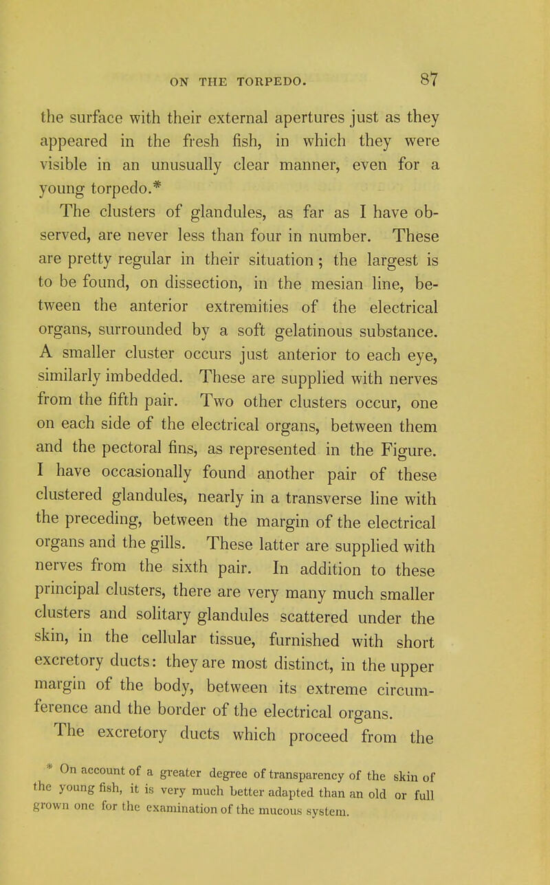 the surface with their external apertures just as they appeared in the fresh fish, in which they were visible in an unusually clear manner, even for a young torpedo.* The clusters of glandules, as far as I have ob- served, are never less than four in number. These are pretty regular in their situation ; the largest is to be found, on dissection, in the mesian line, be- tween the anterior extremities of the electrical organs, surrounded by a soft gelatinous substance. A smaller cluster occurs just anterior to each eye, similarly imbedded. These are supplied with nerves from the fifth pair. Two other clusters occur, one on each side of the electrical organs, between them and the pectoral fins, as represented in the Figure. I have occasionally found another pair of these clustered glandules, nearly in a transverse line with the preceding, between the margin of the electrical organs and the gills. These latter are supplied with nerves from the sixth pair. In addition to these principal clusters, there are very many much smaller clusters and solitary glandules scattered under the skin, in the cellular tissue, furnished with short excretory ducts: they are most distinct, in the upper margin of the body, between its extreme circum- ference and the border of the electrical organs. The excretory ducts which proceed from the * On account of a greater degree of transparency of the skin of the young fish, it is very much better adapted than an old or full grown one for the examination of the mucous system.