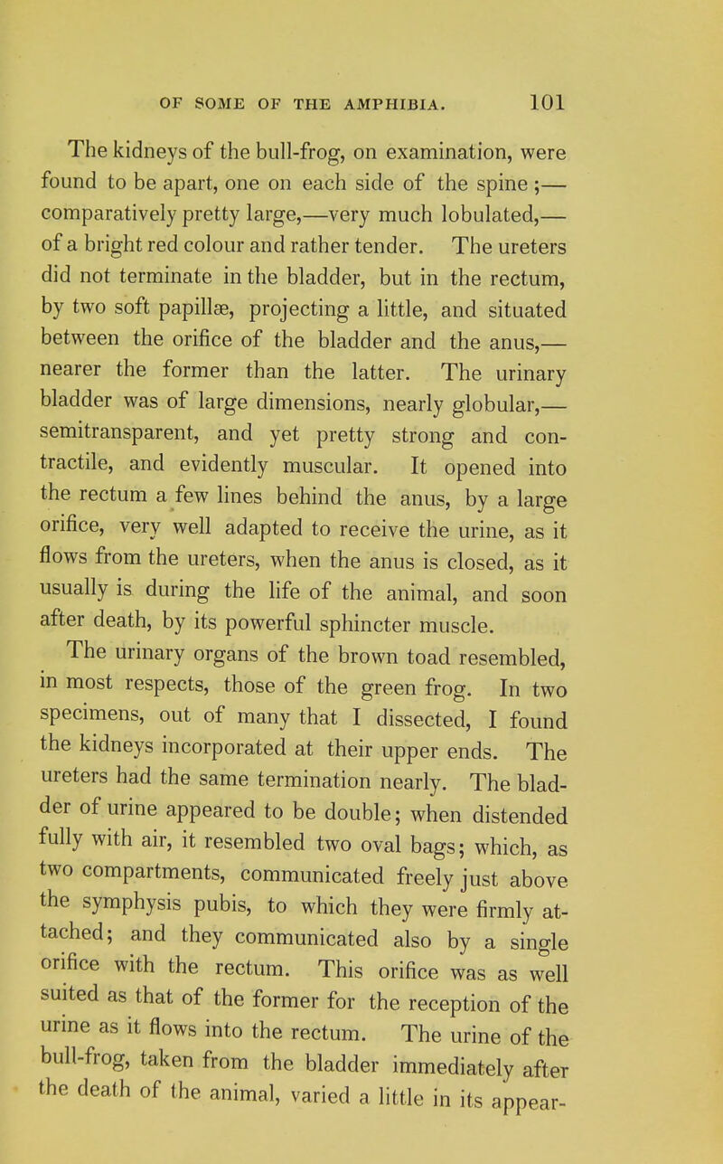 The kidneys of the bull-frog, on examination, were found to be apart, one on each side of the spine ;— comparatively pretty large,—very much lobulated,— of a bright red colour and rather tender. The ureters did not terminate in the bladder, but in the rectum, by two soft papillae, projecting a little, and situated between the orifice of the bladder and the anus,— nearer the former than the latter. The urinary bladder was of large dimensions, nearly globular,— semitransparent, and yet pretty strong and con- tractile, and evidently muscular. It opened into the rectum a few lines behind the anus, by a large orifice, very well adapted to receive the urine, as it flows from the ureters, when the anus is closed, as it usually is during the life of the animal, and soon after death, by its powerful sphincter muscle. The urinary organs of the brown toad resembled, in most respects, those of the green frog. In two specimens, out of many that I dissected, I found the kidneys incorporated at their upper ends. The ureters had the same termination nearly. The blad- der of urine appeared to be double; when distended fully with air, it resembled two oval bags; which, as two compartments, communicated freely just above the symphysis pubis, to which they were firmly at- tached; and they communicated also by a single orifice with the rectum. This orifice was as well suited as that of the former for the reception of the urine as it flows into the rectum. The urine of the bull-frog, taken from the bladder immediately after the death of the animal, varied a little in its appear-