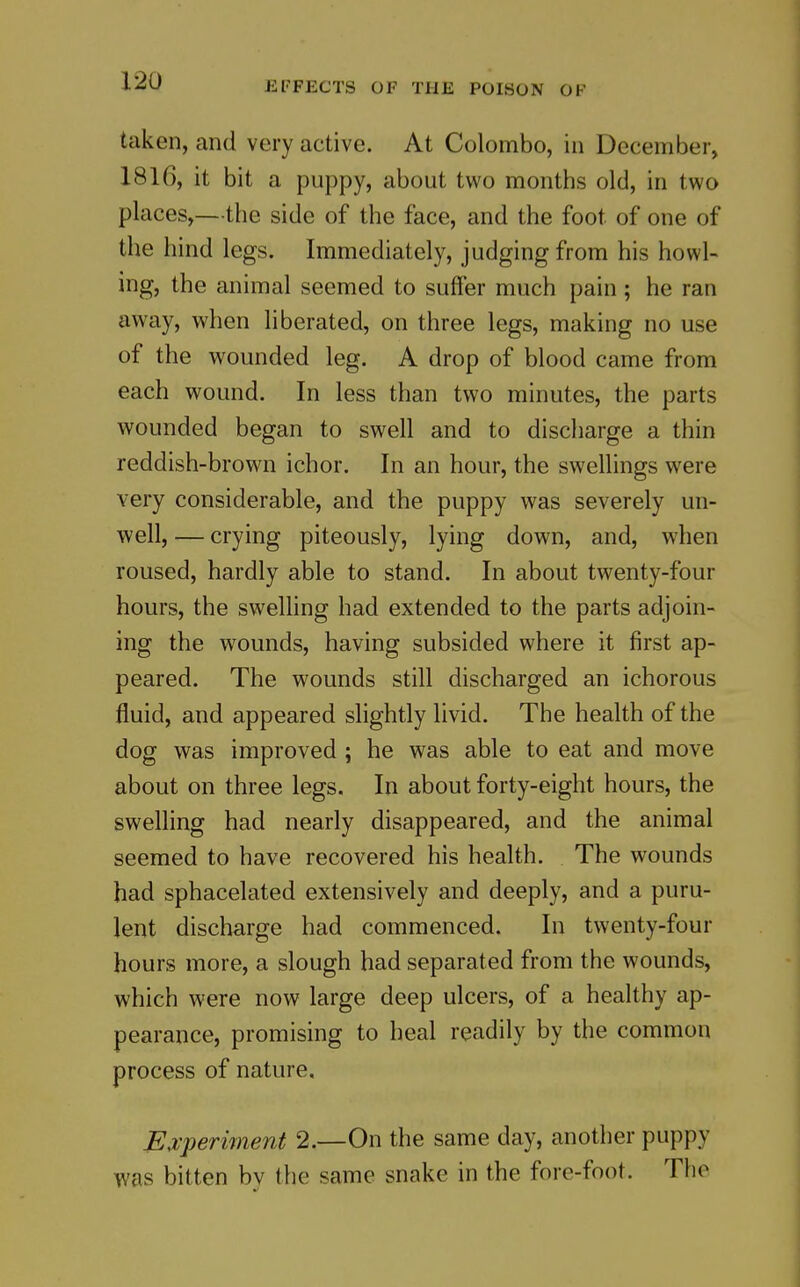 taken, and very active. At Colombo, in December, 1816, it bit a puppy, about two months old, in two places,—the side of the face, and the foot of one of the hind legs. Immediately, judging from his howl- ing, the animal seemed to suffer much pain; he ran away, when liberated, on three legs, making no use of the wounded leg. A drop of blood came from each wound. In less than two minutes, the parts wounded began to swell and to discharge a thin reddish-brown ichor. In an hour, the swellings were very considerable, and the puppy was severely un- well, — crying piteously, lying down, and, when roused, hardly able to stand. In about twenty-four hours, the swelling had extended to the parts adjoin- ing the wounds, having subsided where it first ap- peared. The wounds still discharged an ichorous fluid, and appeared slightly livid. The health of the dog was improved ; he was able to eat and move about on three legs. In about forty-eight hours, the swelling had nearly disappeared, and the animal seemed to have recovered his health. The wounds had sphacelated extensively and deeply, and a puru- lent discharge had commenced. In twenty-four hours more, a slough had separated from the wounds, which were now large deep ulcers, of a healthy ap- pearance, promising to heal readily by the common process of nature. Ejcperiment 2.—On the same day, another puppy was bitten by the same snake in the fore-foot. The