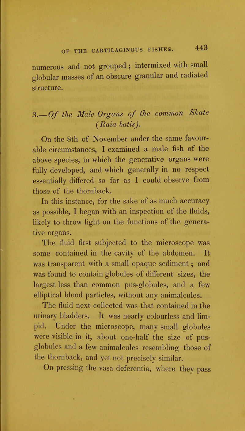 numerous and not grouped; intermixed with small globular masses of an obscure granular and radiated structure. 3.— Of the Male Organs of the common Skate (Rata batisj. On the 8th of November under the same favour- able circumstances, I examined a male fish of the above species, in which the generative organs were fully developed, and which generally in no respect essentially differed so far as I could observe from those of the thornback. In this instance, for the sake of as much accuracy as possible, I began with an inspection of the fluids, likely to throw light on the functions of the genera- tive organs. The fluid first subjected to the microscope was some contained in the cavity of the abdomen. It was transparent with a small opaque sediment; and was found to contain globules of different sizes, the largest less than common pus-globules, and a few elliptical blood particles, without any animalcules. The fluid next collected was that contained in the urinary bladders. It was nearly colourless and lim- pid. Under the microscope, many small globules were visible in it, about one-half the size of pus- globules and a few animalcules resembling those of the thornback, and yet not precisely similar. On pressing the vasa deferentia, where they pass