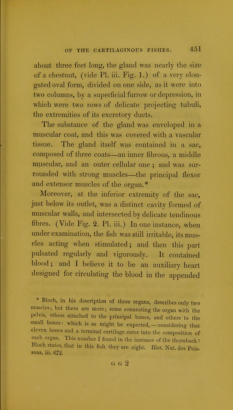 about three feet long, the gland was nearly the size of a chestnut, (vide PI. iii. Fig. 1.) of a very elon- gated oval form, divided on one side, as it were into two columns, by a superficial furrow or depression, in which were two rows of delicate projecting tubuli, the extremities of its excretory ducts. The substance of the gland was enveloped in a muscular coat, and this was covered with a vascular tissue. The gland itself was contained in a sac, composed of three coats—an inner fibrous, a middle muscular, and an outer cellular one ; and was sur- rounded with strong muscles—the principal flexor and extensor muscles of the organ.* Moreover, at the inferior extremity of the sac, just below its outlet, was a distinct cavity formed of muscular walls, and intersected by delicate tendinous fibres. (Vide Fig. 2. PI. iii.) In one instance, when under examination, the fish was still irritable, its mus- cles acting when stimulated; and then this part pulsated regularly and vigorously. It contained blood; and I believe it to be an auxiliary heart designed for circulating the blood in the appended * Bloch, in his description of these organs, describes only two muscles; but there are more; some connecting the organ with the pelvis, others attached to the principal bones, and others to the small bones: which is as might be expected, — considering that eleven bones and a terminal cartilage enter into the composition of each organ. This number I found in the instance of the thornback 5 Bloch states, that in this fish they are eight. Hist. Nat. des Pois- sons, iii. 672. G G 2