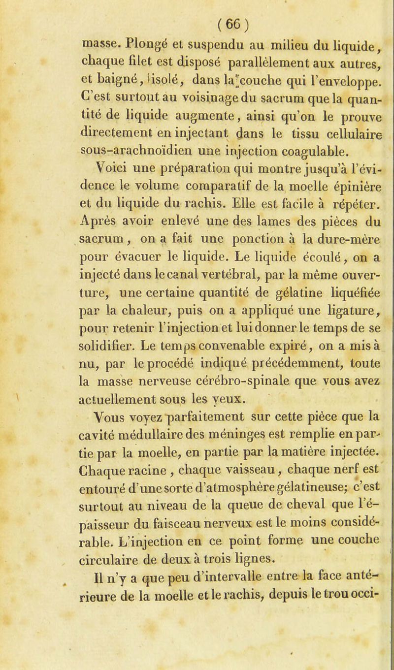 masse. Plongé et suspendu au milieu du liquide, chaque filet est disposé parallèlement aux autres, et baigné, iisolé, dans la'couche qui l'enveloppe. C'est surtout au voisinage du sacrum que la quan- tité de liquide augmente, ainsi qu'on le prouve directement en injectant dans le tissu cellulaire sous-arachnoïdien une injection coagulable. Voici une préparation qui montre jusqu'à l'évi- dence le volume comparatif de la moelle épinière et du liquide du rachis. Elle est facile à répéter. Après avoir enlevé une des lames des pièces du sacrum , on a fait une ponction à la dure-mère pour évacuer le liquide. Le liquide écoulé, on a injecté dans le canal vertébral, par la même ouver- ture, une certaine quantité de gélatine liquéfiée par la chaleur, puis on a appliqué une ligature, pour retenir l'injection et lui donner le temps de se solidifier. Le temps convenable expiré, on a mis à nu, par le procédé indiqué précédemment, toute la masse nerveuse cérébro-spinale que vous avez actuellement sous les yeux. Vous voyez parfaitement sur cette pièce que la cavité médullaire des méninges est remplie en par- tie par la moelle, en partie par la matière injectée. Chaque racine , chaque vaisseau, chaque nerf est entouré d'une sorte d'atmosphère gélatineuse; c'est surtout au niveau de la queue de cheval que l'é- paisseur du faisceau nerveux est le moins considé- rable. L'injection en ce point forme une couche circulaire de deux à trois lignes. Il n'y a que peu d'intervalle entre la face anté- rieure de la moelle et le rachis, depuis letrouocci-