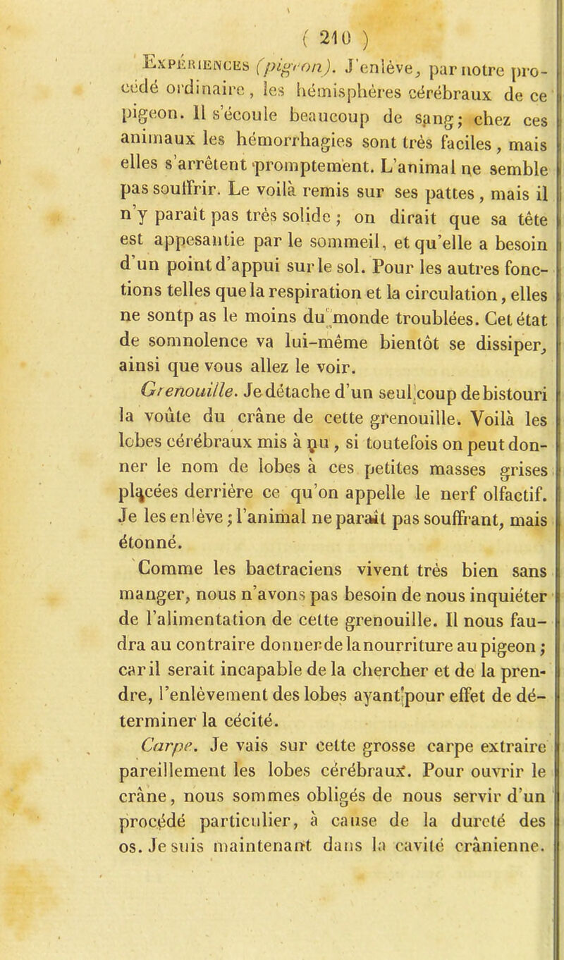 Expériences (pig, on). J'enlève, par notre pro- cédé ordinaire , les hémisphères cérébraux de ce pigeon. 11 s écoule beaucoup de sang; chez ces animaux les hémorrhagies sont très faciles, mais elles s'arrêtent'promptemènt. L'animal ne semble pas souffrir. Le voilà remis sur ses pattes, mais il n'y parait pas très solide ; on dirait que sa tête est appesantie parle sommeil, et qu'elle a besoin d'un point d'appui sur le sol. Pour les autres fonc- tions telles que la respiration et la circulation, elles ne sontp as le moins du monde troublées. Cet état de somnolence va lui-même bientôt se dissiper, ainsi que vous allez le voir. Grenouille. Je détache d'un seulcoup de bistouri la voûte du crâne de cette grenouille* Voilà les lobes cérébraux mis à ou , si toutefois on peut don- ner le nom de lobes à ces petites masses grises placées derrière ce qu'on appelle le nerf olfactif. Je les enlève ; l'animal ne parait pas souffrant, mais étonné. Comme les bactraciens vivent très bien sans manger, nous n'avons pas besoin de nous inquiéter de l'alimentation de celte grenouille. Il nous fau- dra au contraire donner de la nourriture au pigeon ; car il serait incapable de la chercher et de la pren- dre, l'enlèvement des lobes ayant'pour effet de dé- terminer la cécité. Carpe. Je vais sur cette grosse carpe extraire pareillement les lobes cérébraux. Pour ouvrir le crâne, nous sommes obligés de nous servir d'un procédé particulier, à cause de la dureté des os. Je suis maintenant dans la cavité crânienne. |