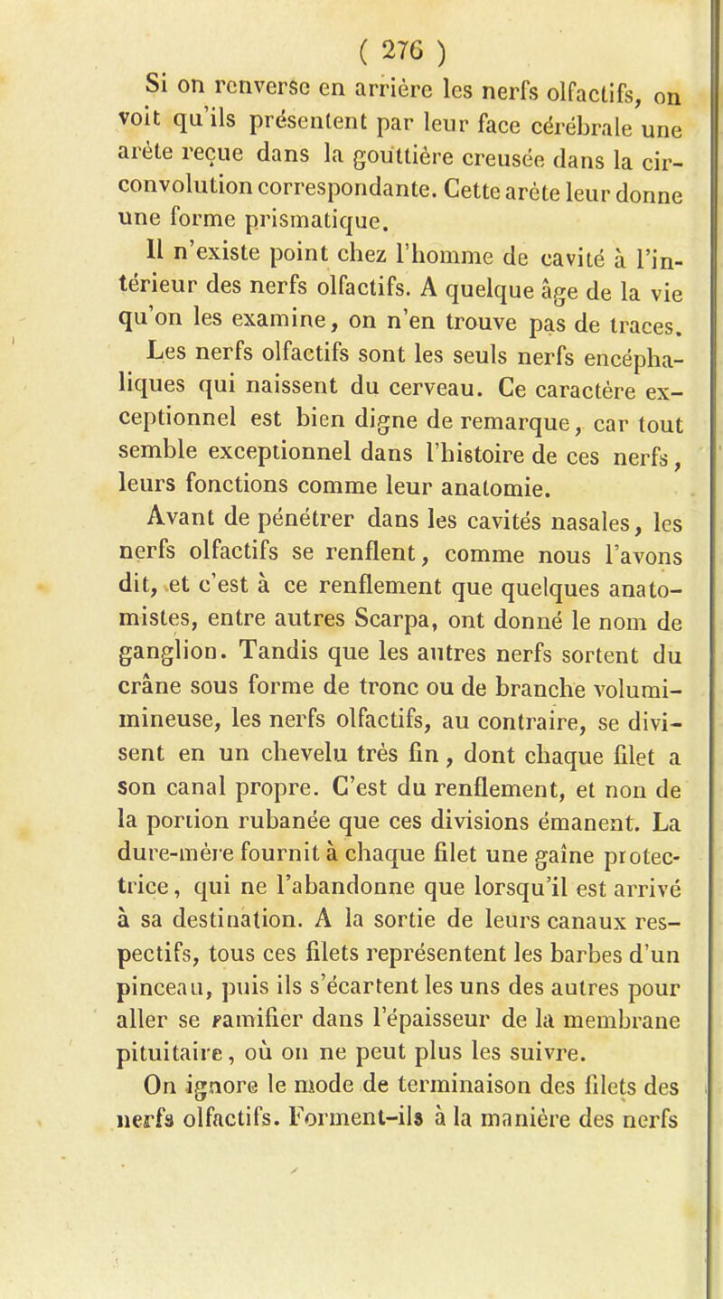 Si on renverse en arrière les nerfs olfactifs, on voit qu'ils présentent par leur face cérébrale une arête reçue dans la gouttière creusée dans la cir- convolution correspondante. Cette arête leur donne une forme prismatique. Il n'existe point chez l'homme de cavité à l'in- térieur des nerfs olfactifs. A quelque âge de la vie qu'on les examine, on n'en trouve pas de traces. Les nerfs olfactifs sont les seuls nerfs encépha- liques qui naissent du cerveau. Ce caractère ex- ceptionnel est bien digne de remarque, car tout semble exceptionnel dans l'histoire de ces nerfs, leurs fonctions comme leur anatomie. Avant de pénétrer dans les cavités nasales, les nerfs olfactifs se renflent, comme nous l'avons dit, .et c'est à ce renflement que quelques anato- mistes, entre autres Scarpa, ont donné le nom de ganglion. Tandis que les antres nerfs sortent du crâne sous forme de tronc ou de branche volumi- mineuse, les nerfs olfactifs, au contraire, se divi- sent en un chevelu très fin, dont chaque filet a son canal propre. C'est du renflement, et non de la portion rubanée que ces divisions émanent. La dure-mère fournit à chaque filet une gaîne protec- trice, qui ne l'abandonne que lorsqu'il est arrivé à sa destination. A la sortie de leurs canaux res- pectifs, tous ces filets représentent les barbes d'un pinceau, puis ils s'écartent les uns des autres pour aller se ramifier dans l'épaisseur de la membrane pituitaire, où on ne peut plus les suivre. On ignore le mode de terminaison des filets des nerfa olfactifs. Forment-ils à la manière des nerfs