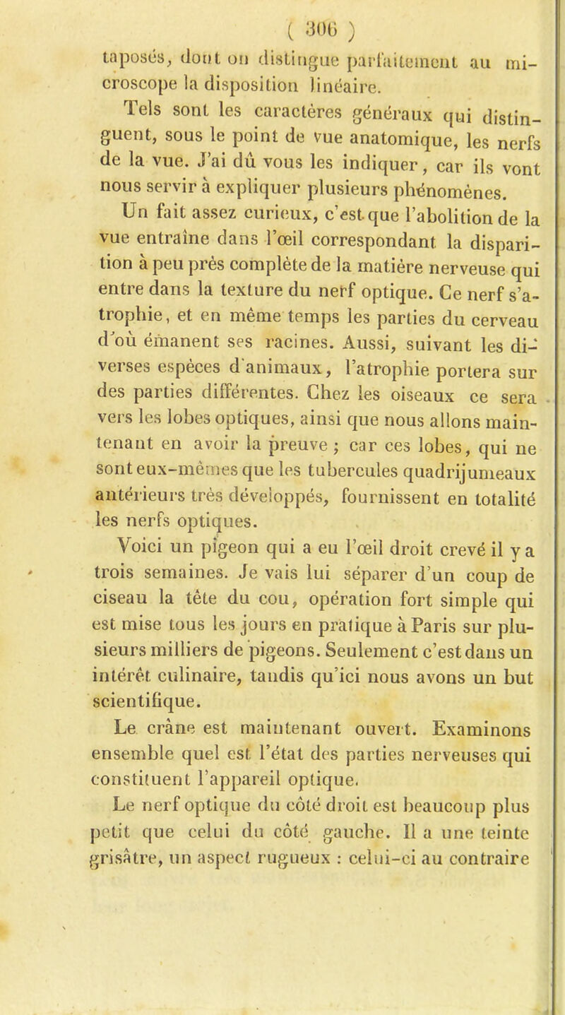 taposés, dont on distingue parlaiteincut au mi- croscope la disposition linéaire. Tels sont les caractères généraux qui distin- guent, sous le point de vue anatomique, les nerfs de la vue. J'ai dû vous les indiquer, car ils vont nous servir à expliquer plusieurs phénomènes. Un fait assez curieux, c'est que l'abolition de la vue entraîne dans l'œil correspondant la dispari- tion à peu prés complète de la matière nerveuse qui entre dans la texture du nerf optique. Ce nerf s'a- trophie, et en même temps les parties du cerveau d'oii émanent ses racines. Aussi, suivant les di- verses espèces d'animaux, l'atrophie portera sur des parties différentes. Chez les oiseaux ce sera vers les lobes optiques, ainsi que nous allons main- tenant en avoir la preuve ; car ces lobes, qui ne sont eux-mêmes que les tubercules quadrijumeaux antérieurs très développés, fournissent en totalité les nerfs optiques. Voici un pigeon qui a eu l'œil droit crevé il y a trois semaines. Je vais lui séparer d'un coup de ciseau la tête du cou, opération fort simple qui est mise tous les jours en pratique à Paris sur plu- sieurs milliers de pigeons. Seulement c'est dans un intérêt culinaire, tandis qu'ici nous avons un but scientifique. Le crâne est maintenant ouvert. Examinons ensemble quel est l'état des parties nerveuses qui constituent l'appareil optique. Le nerf optique du côté droit est beaucoup plus petit que celui du côté gauche. Il a une teinte grisâtre, un aspect rugueux : celui-ci au contraire