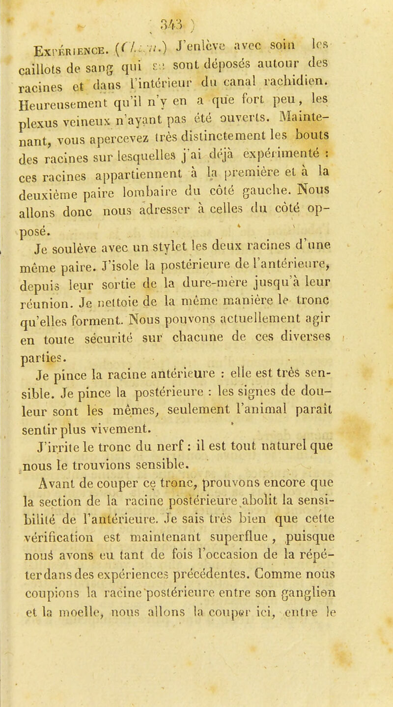 Expérience, (^/-.v/.) J'enlève avec soia les caillots de. sang qui z-.'. sont déposés autour des racines et dans l'intérieur du canal rachidien. Heureusement qu'il n'y en a que fort peu, les plexus veineux n'ayant pas été ouverts. Mainte- nant, vous apercevez très distinctement les bouts des racines sur lesquelles j'ai déjà expérimenté : ces racines appartiennent à la première et à la deuxième paire lombaire du côté gauche. Nous allons donc nous adresser à celles tlu côté op- posé. Je soulève avec un stylet les deux racines d'une même paire. J'isole la postérieure de l'antérieure, depuis leur sortie de la dure-mère jusqu'à leur réunion. Je nettoie de la même manière le tronc qu'elles forment. Nous pouvons actuellement agir en toute sécurité sur chacune de ces diverses parties. Je pince la racine antérieure : elle est très sen- sible. Je pince la postérieure : les signes de dou- leur sont les mê.mes^ seulement l'animal paraît sentir plus vivement. J'irrite le tronc du nerf : il est tout naturel que nous le trouvions sensible. Avant de couper ce tronc, prouvons encore que la section de la racine postérieure abolit la sensi- bilité de Fantérieure. Je sais très bien que cette vérification est maintenant superflue, puisque noué avons eu tant de fois l'occasion de la répé- terdansdes expériences précédentes. Comme nous coupions la racine postérieure entre son ganglion et la moelle, nous allons la couper ici, entre le