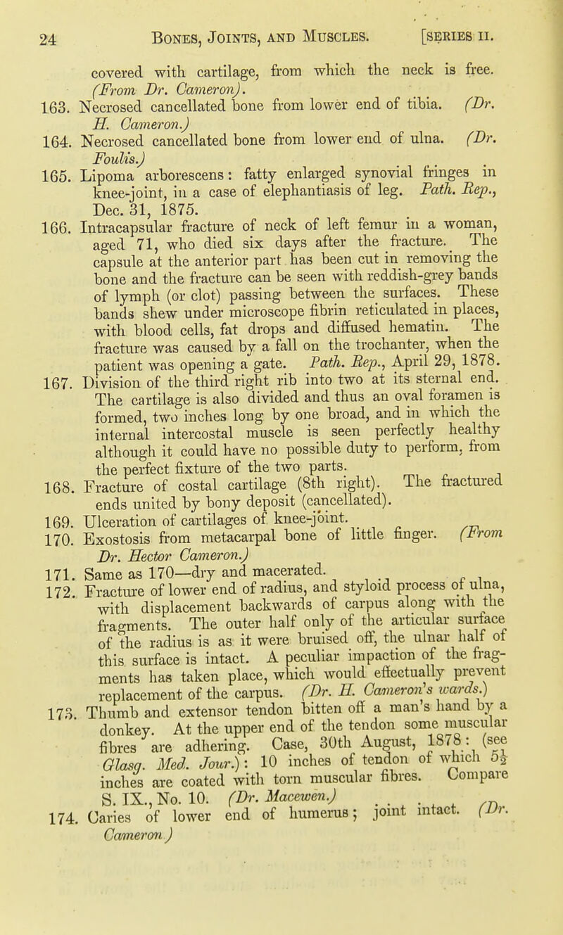 covered with cartilage, from which the neck is free. (Frovi Dr. Cameron). 163. Necrosed cancellated bone from lower end of tibia. (Dr. H. Cameron.) 164. Necrosed cancellated bone from lower end of ulna. (Dr. Foulis.) 165. Lipoma arborescens: fatty enlarged synovial fringes m knee-joint, in a case of elephantiasis of leg. Path. Rep., Dec. 31, 1875. 166. Intracapsular fracture of neck of left femur in a woman, aged 71, who died six days after the fracture. _ The capsule at the anterior part has been cut in removing the bone and the fracture can be seen with reddish-grey bauds of lymph (or clot) passing between the_ surfaces. These bands shew under microscope fibrin reticulated in places, with blood cells, fat drops and diffused hematiu. The fracture was caused by a fall on the trochanter, when the patient was opening a gate. Path. Rep., April 29, 1878. 167. Division of the third right rib into two at its sternal end. The cartilage is also divided and thus an oval foramen is formed, two inches long by one broad, and in which the internal intercostal muscle is seen perfectly healthy although it could have no possible duty to perform, from the perfect fixture of the two parts. 168. Fracture of costal cartilage (8th right). The fractured ends united by bony deposit (cancellated). 169. Ulceration of cartilages of knee-joint. 170. Exostosis from metacarpal bone of little finger. (I<rom Dr. Hector Cameron.) 171. Same as 170—dry and macerated. 172. Fracture of lower end of radius, and styloid process ot ulna, with displacement backwards of carpus along with the fragments. The outer half only of the articular surtace of the radius is as it were bruised oft^ the ulnar half of this surface is intact. A peculiar impaction of the frag- ments has taken place, which would effectually prevent replacement of the carpus. (Dr. H. Cameron's wards.) Thumb and extensor tendon bitten off a man s hand by a donkey. At the upper end of the tendon some muscular fibres are adhering. Case, 30th August, 1878: (see Glasq. Med. Jour.): 10 inches of tendon of which 5i inches are coated with torn muscular fibres. Compare S. IX., No. 10. (Dr. Macewen.) _ • . . /n 174. Caries of lower end of humerus; jomt intact. (Dr. Cameron) 173.