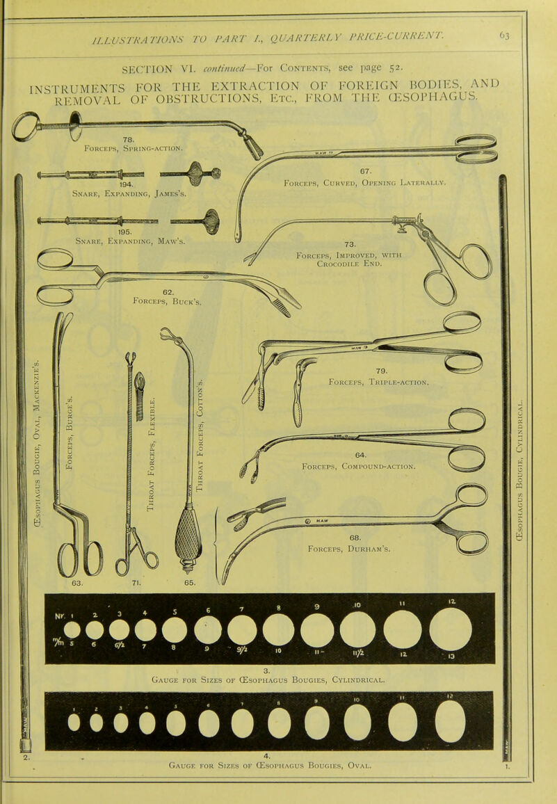 SECTION VI. continued~Yox Contents, see jiage 52. INSTRUMENTS FOR THE EXTRACTION OF FOREIGN BODIES, AND REMOVAL OF OBSTRUCTIONS, Etc., FROM THE G5S0PHAGUS. Gauge for Sizes of (Esophagus Bougies, Cylindrical. 9  Gaugf. for Sizes of CEsopiiagus Bougies, Oval.