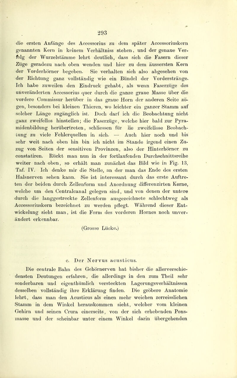 die ersten Anfänge des Accessorius zu dem später Accessoriuskern genannten Kern in keinem Verhältniss stehen, und der genaue Ver- folg der Wurzelstärame lehrt deutlich, dass sich die Fasern dieser Züge geradezu nach oben wenden und hier zu dem äussersten Kern der Vorderhörner begeben. Sie verhalten sich also abgesehen von der Richtung ganz vollständig wie ein Bündel der Vorderstränge. Ich habe zuweilen den Eindruck gehabt, als wenn Faserzüge des unveränderten Accessorius quer durch die ganze graue Masse über die vordere Commissur herüber in das graue Horn der anderen Seite zö- gen, besonders bei kleinen Thieren, wo leichter ein ganzer Stamm auf solcher Länge zugänglich ist. Doch darf ich die Beobachtung nicht ganz zweifellos hinstellen; die Faserzüge, welche hier bald zur Pyra- midenbildung herübertreten, schHessen für lie zweifellose Beobach- tung zu viele Fehlerquellen in sich. —• Auch hier noch und bis sehr weit nach oben hin bin ich nicht im Stande irgend einen Zu- zug von Seiten der sensitiven Provinzen, also der Hinterhörner zu constatiren. Rückt man nun in der fortlaufenden Durchschnittsreihe weiter nach oben, so erhält man zunächst das Bild wie in Fig. 13, Taf. IV. Ich denke mir die Stelle, an der man das Ende des ersten Halsnerven sehen kann. Sie ist interessant durch das erste Auftre- ten der beiden durch Zellenform und Anordnung differenzirten Kerne, welche um den Centralcanal s[elea:en sind, und von denen der untei-e durch die langgestreckte Zellenform ausgezeichnete schlechtweg als Accessoriuskern bezeichnet zu werden pflegt. Während dieser Ent- wickelung sieht man, ist die Form des vorderen Hornes noch unver- ändert erkennbar. (Grosse Lücke.) c. Der Nervus acusticus. Die centrale Bahn des Gehörnerven hat bisher die allerverschie- densten Deutungen erfahren, die allerdings in den zum Theil sehr sonderbaren und eigenthümlich versteckten Lagerungsverhältnissen desselben vollständig ihre Erklärung finden. Die gröbere Anatomie lehrt, dass man den Acusticus als einen mehr weichen zerreisslichen Stamm in dem Winkel herauskommen sieht, welcher vom kleinen Gehirn und seinen Crura einerseits, von der sich erhebenden Pons- masse und der scheinbar unter einem Winkel darin übergehenden