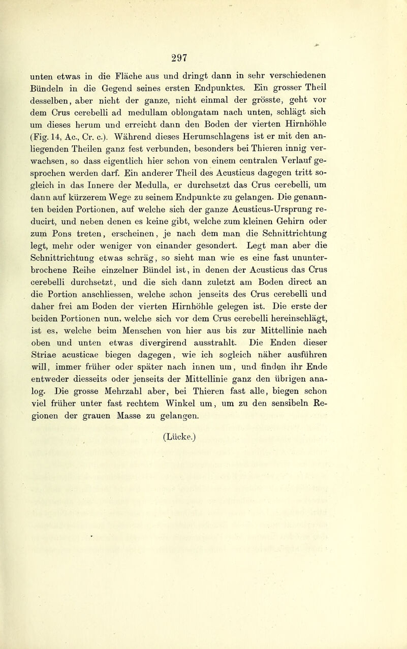 unten etwas in die Fläche aus und dringt dann in sehr verschiedenen Bündeln in die Gegend seines ersten Endpunktes. Ein grosser Theil desselben, aber nicht der ganze, nicht einmal der grösste, geht vor dem Grus cerebelli ad medullam oblongatam nach unten, schlägt sich um dieses herum und erreicht dann den Boden der vierten Hirnhöhle (Fig. 14, Ac, Cr. c). Während dieses Herumschlagens ist er mit den an- liegenden Theilen ganz fest verbunden, besonders bei Thieren innig ver- wachsen, so dass eigentlich hier schon von einem centralen Verlaufge- sprochen werden darf. Ein anderer Theil des Acusticus dagegen tritt so- gleich in das Innere der Medulla, er durchsetzt das Grus cerebelli, um dann auf kürzerem Wege zu seinem Endpunkte zu gelangen. Die genann- ten beiden Portionen, auf welche sich der ganze Acusticus-Ursprung re- ducirt, und neben denen es keine gibt, welche zum kleinen Gehirn oder zum Pons treten, erscheinen, je nach dem man die Schnittrichtung legt, mehr oder weniger von einander gesondert. Legt man aber die Schnittrichtung etwas schräg, so sieht man wie es eine fast ununter- brochene Reihe einzelner Bündel ist, in denen der Acusticus das Grus cerebelli durchsetzt, und die sich dann zuletzt am Boden direct an die Portion anschliessen, welche schon jenseits des Grus cerebelli und daher frei am Boden der vierten Hirnhöhle gelegen ist. Die erste der beiden Portionen nun, welche sich vor dem Grus cerebelli hereinschlägt, ist es, welche beim Menschen von hier aus bis zur Mittellinie nach oben und unten etwas divergirend ausstrahlt. Die Enden dieser Striae acusticae biegen dagegen, wie ich sogleich näher ausführen will, immer früher oder später nach innen um, und finden ihr Ende entweder diesseits oder jenseits der Mittellinie ganz den übrigen ana- log. Die gTosse Mehrzahl aber, bei Thieren fast alle, biegen schon viel früher unter fast rechtem Winkel um, um zu den sensibeln Re- gionen der grauen Masse zu gelangen. (Lücke.)