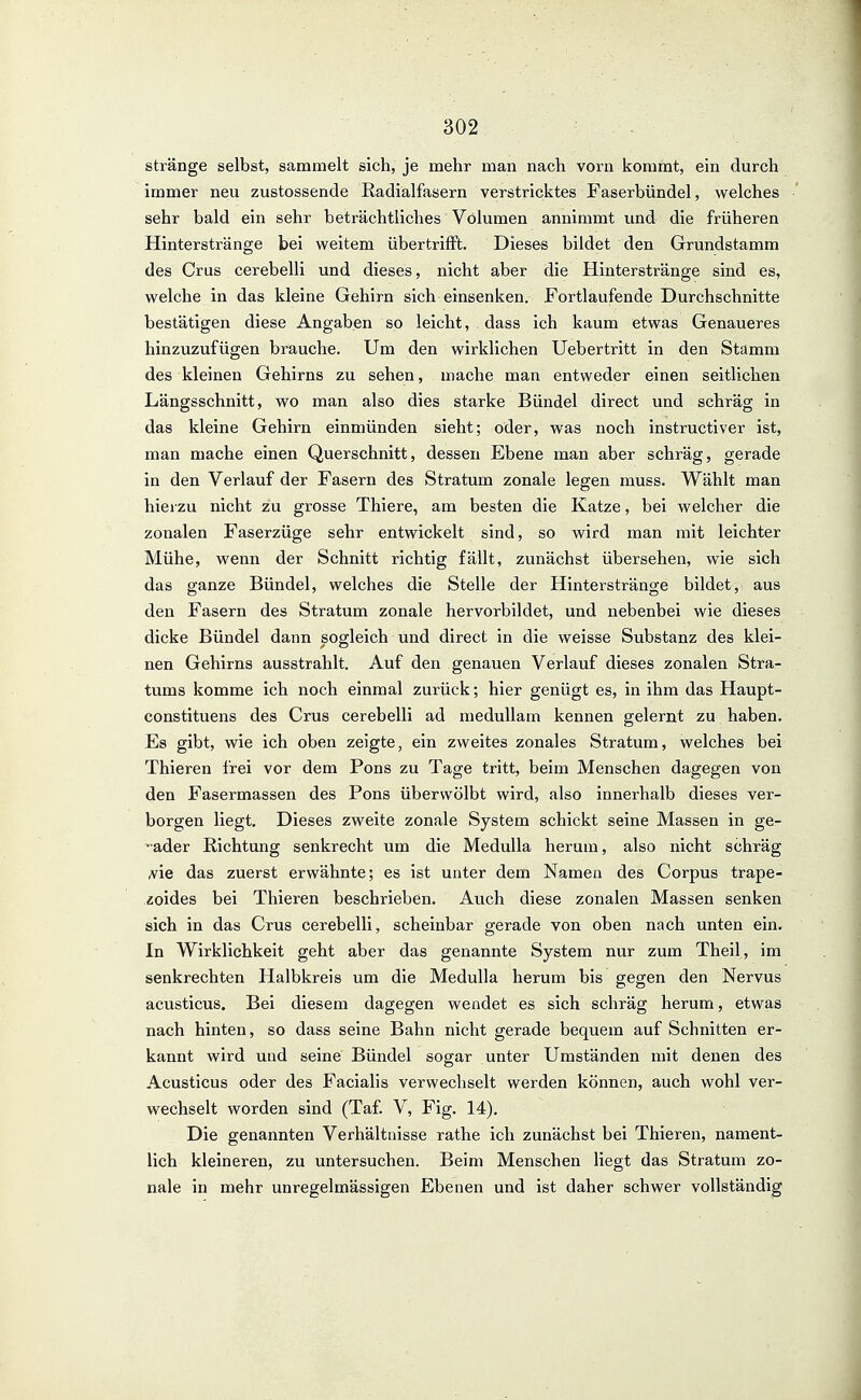 stränge selbst, sammelt sich, je mehr man nach vorn kommt, ein durch immer neu zustossende ßadialfasern verstricktes Faserbündel, welches sehr bald ein sehr beträchtliches Volumen annimmt und die früheren Hinterstränge bei weitem übertrifft. Dieses bildet den Grundstamm des Grus cerebelli und dieses, nicht aber die Hinterstränge sind es, welche in das kleine Gehirn sich einsenken. Fortlaufende Durchschnitte bestätigen diese Angaben so leicht, dass ich kaum etwas Genaueres hinzuzufügen brauche. Um den wirklichen Uebertritt in den Stamm des kleinen Gehirns zu sehen, mache man entweder einen seitlichen Längsschnitt, wo man also dies starke Bündel direct und schräg in das kleine Gehirn einmünden sieht; oder, was noch instructiver ist, man mache einen Querschnitt, dessen Ebene man aber schräg, gerade in den Verlauf der Fasern des Stratum zonale legen muss. Wählt man hierzu nicht zu grosse Thiere, am besten die Katze, bei welcher die zonalen Faserzüge sehr entwickelt sind, so wird man mit leichter Mühe, wenn der Schnitt richtig fällt, zunächst übersehen, wie sich das ganze Bündel, welches die Stelle der Hinterstränge bildet, aus den Fasern des Stratum zonale hervorbildet, und nebenbei wie dieses dicke Bündel dann sogleich und direct in die weisse Substanz des klei- nen Gehirns ausstrahlt. Auf den genauen Verlauf dieses zonalen Stra- tums komme ich noch einmal zurück; hier genügt es, in ihm das Haupt- constituens des Crus cerebelli ad medullam kennen gelernt zu haben. Es gibt, wie ich oben zeigte, ein zweites zonales Stratum, welches bei Thieren frei vor dem Pons zu Tage tritt, beim Menschen dagegen von den Fasermassen des Pons überwölbt wird, also innerhalb dieses ver- borgen liegt. Dieses zweite zonale System schickt seine Massen in ge- ■ader Richtung senkrecht um die Medulla herum, also nicht schräg A^ie das zuerst erwähnte; es ist unter dem Namen des Corpus trape- Äoides bei Thieren beschrieben. Auch diese zonalen Massen senken sich in das Crus cerebelli, scheinbar gerade von oben nach unten ein. In Wirklichkeit geht aber das genannte System nur zum Theil, im senkrechten Halbkreis um die Medulla herum bis gegen den Nervus acusticus. Bei diesem dagegen wendet es sich schräg herum, etwas nach hinten, so dass seine Bahn nicht gerade bequem auf Schnitten er- kannt wird und seine Bündel sogar unter Umständen mit denen des Acusticus oder des Facialis verwechselt werden können, auch wohl ver- wechselt worden sind (Taf. V, Fig. 14). Die genannten Verhältnisse rathe ich zunächst bei Thieren, nament- lich kleineren, zu untersuchen. Beim Menschen liegt das Stratum zo- nale in mehr unregelmässigen Ebenen und ist daher schwer vollständig
