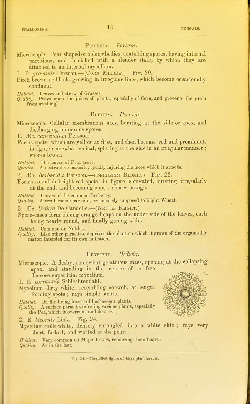 18 PucciNiA. Persoon. Microscopic. Pear-shaped or oblong bodies, containing spores, having internal partitions, and furnished with a slender stalk, by which they are attached to an internal mycelium. 1. P. graminis Persoon.—(Corn Mildew.) Fig. 20. Pitch brown or black, growing in irregular lines, which become occasionally confluent. Habitat. Leaves and straw of Grasses. Quality. Preys upon the juices of plants, especially of Corn, and prevents the grain from swelUng. jEcibium. Persoon. Microscopic. Cellular membranous sacs, bursting at the side or apex, and discharging numerous spores. 1. Mc. cancellatum Persoon. Forms spots, which are yellow at first, and then become red and prominent, in figure somewhat conical, splitting at the side in an irregidar manner ; spores brown. Habitat. The leaves of Pear trees. Quality. A destructive parasite, greatly injuring the trees which it attacks. 2. Mc. Berheridis Persoon.—(Berberry Blight.) Fig. 22. Forms roundish bright red spots, in figm-e elongated, bursting u-regularly at the end, and becoming cups ; spores orange. Habitat. Leaves of the common Berberry. Quality. A troublesome parasite, erroneously supposed to blight Wheat. 3. iEc. Urticce De CandoUe.—(Nettle Blight.) Spore-cases form oblong orange heaps on the under side of the leaves, each being nearly round, and finally gaping wide. Habitat. Common on Nettles. Quality. Like other parasites, deprives the plant on which it grows of the organisable matter intended for its own nutrition. Ertsiphe. Hedwig. Microscopic. A fleshy, somewhat gelatinous mass, opening at the collapsing apex, and standing in the centre of a free floccose superficial mycelium. 1. E. communis Schlechtendahl. Mycelium dirty white, resembhng cobweb, at length forming spots ; rays simple, acute. Habitat. On the living leaves of herbaceous plants. Quality. A surface parasite, infesting various plants, especially the Pea, which it ovemms and destroys. 2. E. hicornis Link. Fig. 24. Mycelium-milk-white, densely entangled into a white skin ; rays very short, forked, and warted at the point. Habitat. Very common on Maple leaves, rendering them hoary. Quality. As in the last. Fig. 24.—Magnified figure of Erysiphe bicornis.