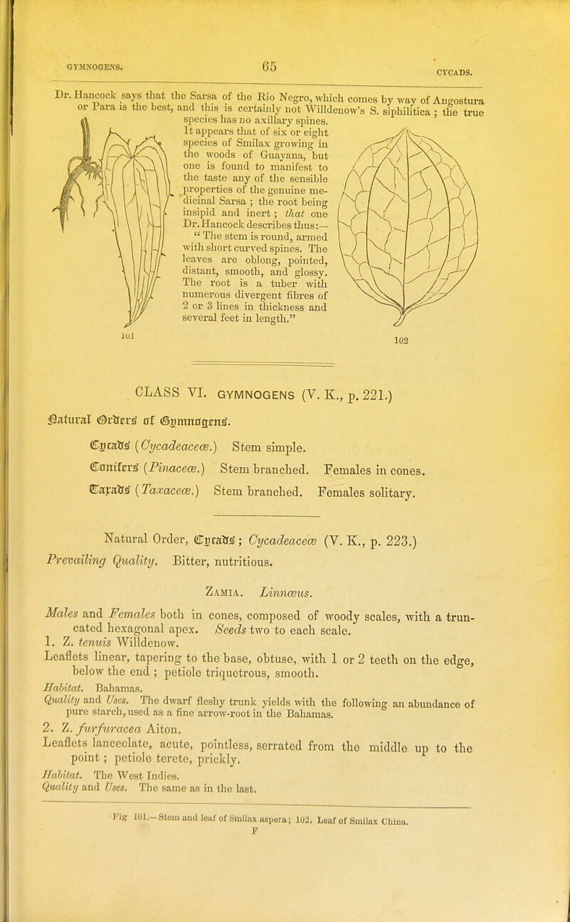 CYCADS. Dr. Hancock says that the Sarsa of the Rio Negro, which comes by way of or Para is the best, and this is certainly not Willdenow's S. siphilitica species lias no axillary spines. It appears that of six or eight species of Smilax growing in the woods of Guayana, but one is found to manifest to the taste any of the sensible properties of the genuine me- dicinal Sarsa ; the root being insipid and inert; tliat one Dr.Hancoclc describes thus:—  Tlie stem is round, armed with short curved spines. The leaves are oblong, pointed, distant, smooth, and glossy. The root is a tuber with numerous divergent fibres of 2 or 3 lines in thickness and several feet in length. 102 Angostura ; the true CLASS VI. GYMNOGENS (V. K., p. 221.) Cgcalrs {Gycadeacece.) Stem simple. Conifer^ [Pinacece.) Stem branched. Females in cones. EaynXsS {Taxacece.) Stem branched. Females solitary. Natural Order, CjiraifjS; Cycadeacece (V. K., p. 223.) Prevailing Quality. Bitter, nutritious. Zamia. Linnceus. Males and Females both in cones, composed of woody scales, with a trun- cated hexagonal apex. Seeds two to each scale. 1. Z. tenuis Willdenow. Leaflets linear, tapering to the base, obtuse, with 1 or 2 teeth on the edge, below the end ; petiole triquetrous, smooth. Ilahitat. Bahamas. Quality and Uses. The dwarf fleshy trunk yields with the following an abundance of pure starch, used as a fine arrow-root in the Bahamas. 2. Z. furfuracea Alton. Leaflets lanceolate, acute, pointless, serrated from the middle up to the point ; petiole terete, prickly. HaMtat. The West Indies. Q,ualitij and Uses. The same as in the last. V\e lOl.-Stemandleuf of Smilaxasperaj 102. Leaf of Smilax China. P