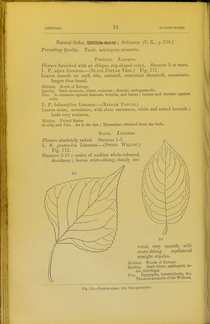 Natui-al Order, OT[aidtu--&)0rW ; Salicacece (V. K., p. 254.) Prevailing Quality. Tonic, astringent, aromatic. PopdIjUS. Linnccus. Flowers furnished with an oblique, cup-shaped calyx. Stamens 8 or more. 1. P. nigra Linn86us.—(Black Poplar Tree.) Fig. 111. Leaves smooth on each side, serrated, somewhat rhomboid, acuminate, longer than broad. Habitat. North of Europe. Quality. Buds aromatic, bitter, resinous ; diuretic, antispasmodic. Uses. In ointment against tumours, woimds, and bui-ns ; balsam and tincture against colic. 2. P. balsamifera LinnjBus.—(Balsam Poplar.) Leaves ovate, acuminate, with close serratures, white and netted beneath ; buds very resinous. ffahitat. United States. Quality and Uses. As in the last; Tacamahac obtained from the buds. Salix. Linnceus. Flowers absolutely naked. Stamens 1-5. 1. S. pentandra Linn£eus.—(Sweet Willow.) Fig. 112. Stamens 5-10 ; scales of catkins whole-coloured, deciduous ; leaves ovate-oblong, closely ser- iia rated, very smooth, with ovate-oblong equilateral straight stipules. Enhitat. Woods of Europe. Quality. Baric bitter, astringent, to- nic, febrifug.al. Uses. Dyspepsia, intei-mittents, &c. Themostaromatic of the Willows. rig. m.—Populus nigra; 112. Palix pentandrn.