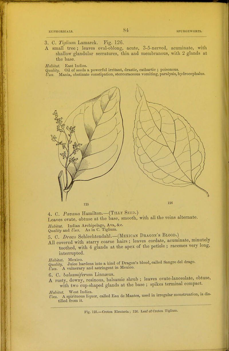 3. C. Tiglium Lamarck. Fig. 126. A small tree; leaves oval-oblong, acute, 3-5-nerve(l, acuminate, with shallow glandular serratures, thin and membranous, with 2 glands at the base. Habitat. East Indies. Quality. Oil of seeds a powerful irritant, drastic, cathartic ; poisonous. Uses. Mania, obstinate constipation, stercoraceous vomiting, paralysis, hydrocephalus. 125 126 4. C. Pavana Hamilton.—(Tilly Seed.) Leaves ovate, ohtuse at the hase, smooth, with aU the veins alternate. Habitat. Indian Archipelago, Ava, &c. Quality and Uses. As in C. Tiglium. 5 C Draco Schlechtendahl.—(Mexican Dragon's Blood.) All covered with starry coarse hairs ; leaves cordate, acummate, mmutely toothed, with 4 glands at the apex of the petiole ; racemes very long, interrupted. Habitat. Mexico. ,, , i, j ^ j i j QualUy. Juice hardens into a kind of Dragon's blood, called Sangre del di-ago. Uses. A vulnerary and astringent in Mexico. 6. C. halsamiferum Linnaeus. A rusty, downy, resinous, balsamic shrub ; leaves ovate-lanceolate, obtuse, with two cup-shaped glands at the hase ; spikes termmal compact. Habitat. West Indies. . , ^ ■ a-^ Uses. A spirituous liquor, called Eau de Mantes, used in irregular menstruation, is dis- tilled from it. Fig. 125.—Croton Eleuteria; 120. LeafofCroton Tiglium.