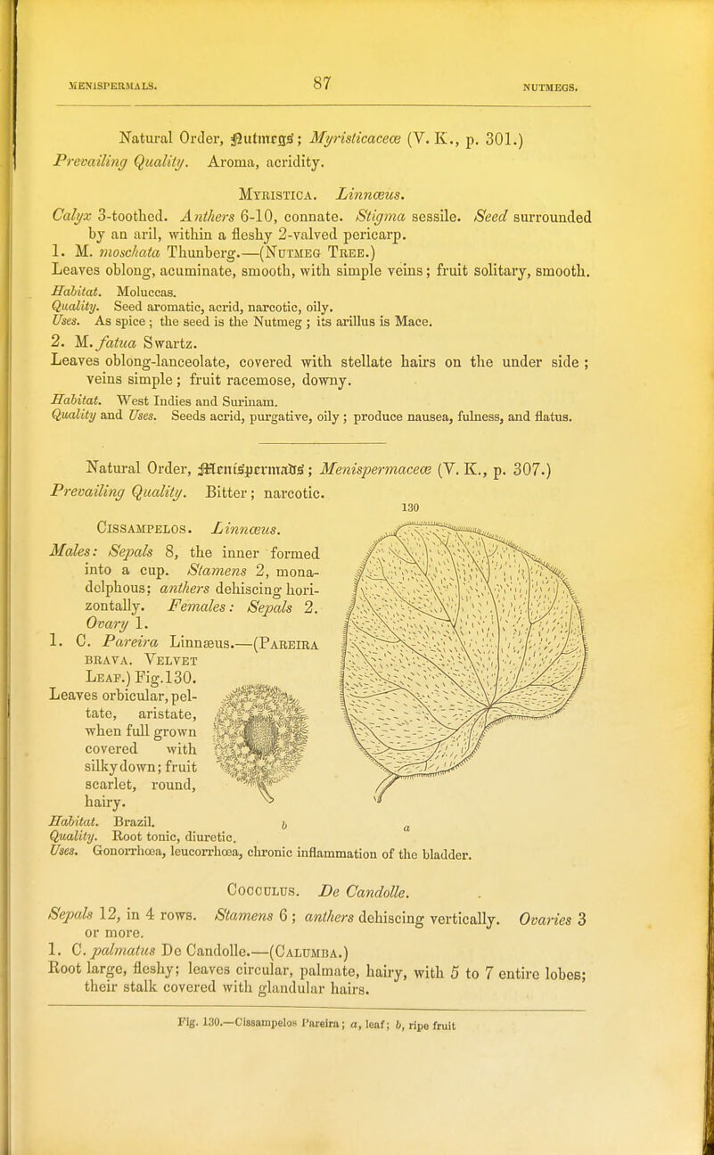 Natural Order, j^utmcg^; Myristicaceos (V. K., p, 301.) Prevailing Qualiti/. Aroma, acridity. Myristica. Linnceus. Calyx 3-tootlied. Anthers 6-10, connate. Stigma sessile. Seed surrounded by an aril, within a fleshy 2-valved pericarp. 1. M. moschata Thunberg.—(Nutmeg Tree.) Leaves oblong, acuminate, smooth, with simple veins; fruit solitary, smooth. Hahitat. Moluccas. Quality. Seed aromatic, acrid, narcotic, oily. Uses. As spice ; the seed is the Nutmeg ; its arillus is Mace. 2. M./atica Swartz. Leaves oblong-lanceolate, covered with stellate hairs on the under side ; veins simple ; fruit racemose, downy. Hahitat. West Indies and Surinam. Quality and Uses. Seeds acrid, purgative, oily; produce nausea, fulness, and flatus. Natm-al Order, iMciit^jin-mair^; Menispermaceoe (V. K., p. 307.) Prevailing Quality. Bitter; narcotic. 130 CissAMPELOs. Linnceus. Males: Sepals 8, the inner formed into a cup. Stamens 2, mona- delphous; anthers dehiscing hori- zontally. Females: Sepals 2. Ovary 1. 1. C. Pareira Linnteus.—(Pareira BRAVA. Velvet Leaf.) Fig. 130. Leaves orbicxilar, pel- --ifSf^^by, tate, aris^^e, when full grown Jj^^^ji'^I^^P covered with '^^^^S^^ silky down; fruit ^|^p scarlet, round, hairy. Ilabitat. Brazil. i ^ Quality. Root tonic, diuretic. Uses, GonoiThcea, leucorrhoea, chronic inflammation of the bladder. CoccuLus. JDe Candolle. Sepals 12, in 4 rows. Stamens 6 ; anthers dehiscing vertically. Ovaries 3 or more. 1. Q. palmatiis Do Candolle.—(Calumba.) Root large, fleshy; leaves circular, palmate, hairy, with 5 to 7 entire lobes; their stalk covered with glandular hairs. Fig. 130.—Ci3sampelo» Taielra; a, leaf; 6, ripe fruit