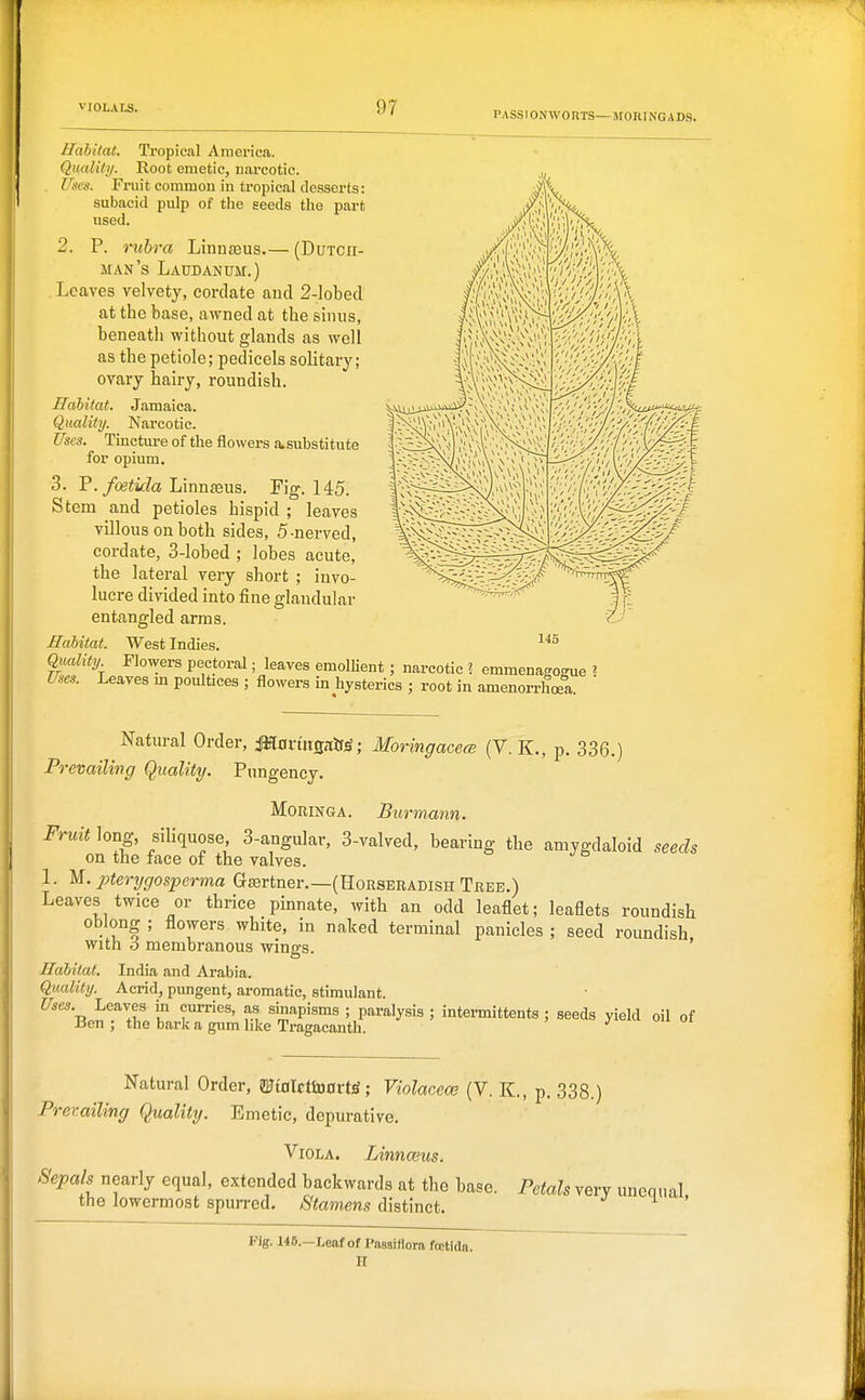 PASSIONWORTS—MORINGADS. Habitat. Tropical America. Quality. Root emetic, narcotic. !. Fruit common in tropical desserts: subacid pulp of tlie seeds the part used. • (DUTCn- 2. P. rubra Linna3us. man's Laudanum.) Loaves velvety, cordate and 2-lobed at the base, awned at the sinus, beneath without ghinds as well as the petiole; pedicels solitary; ovary hairy, roundish. JIahitat. Jamaica. Quality. Narcotic. Uses. Tincture of the flowers asubstitute for opium. 3. P./ceiifZa Linnteus. Fig. 145. Stem and petioles hispid ; leaves villous on both sides, 5-nerved, cordate, 3-lobed ; lobes acute, the lateral very short ; invo- lucre divided into fine glandular entangled arms. JIahitat. West Indies. Quality Flowers pectoral; leaves emolhent ; narcotic ? emmenasogue ' Uses. Leaves m poultices ; flowers in hysterics ; root in amenorrlioea. ' 145 Natural Order, iaftovmsair^; Moringacete (V. K., p. 336.) Prevailing Quality. Pungency. MoRiNGA. Burmann. Fruit long, siUquose 3-angular, 3-vaIved, bearing the amygdaloid seeds on the face of the valves. 1. M. pterygosperma Grsertner.—(Horseradish Tree.) Leaves twice or thrice pinnate, with an odd leaflet; leaflets roundish oblong ; flowers white, in naked terminal panicles ; seed roundish with 6 membranous wings. ' JSahitat. India and Arabia. Quality. Acrid, pungent, aromatic, stimulant. Uses. Leaves in curries, as sinapisms ; paralysis ; intermittents ; seeds yield oil of Ben ; the bark a gum hke Tragacanth. Natural Order, 2FtnIctoort^; Violacew (V. K., p. 338.) Prevailing Quality. Emetic, dopurative. Viola. Linnceus. Sepals nearly equal, extended backwards at the base. Petals very unequal the lowermost spurred. Stamms distinct. ' Fig. 148.—Leaf of Pnssitlora fcetida.