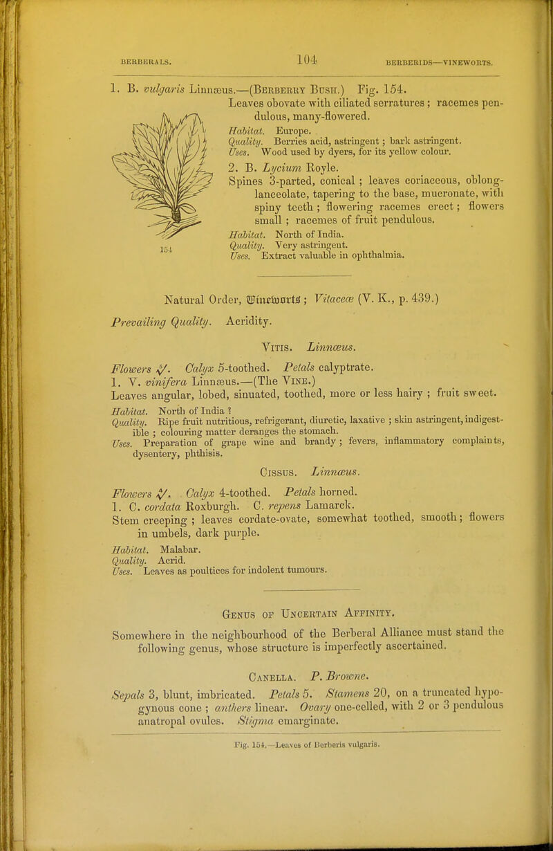 UEUUEUALS. BEIIBEEIDS—VINEWORTS. 1. B. vulgaris Liiinceus.—(Berberry Bush.) Fig. 154. Leaves obovate with ciliated serratures; racemes pen- dulous, many-flowered. Habitat. Europe. Quality. Berries acid, astringent; bark astringent. Uses. Wood used by dyers, for its yellow colour. 2. B. Lt/ciicm Royle. Spines 3-parted, conical ; leaves coriaceous, oblong- lanceolate, tapering to the base, mucronate, with spiny teeth ; flowering racemes erect; flowers small ; racemes of fruit pendulous. ffaUtat. North of India. Quality. Very astringent. Uses. Extract valuable in ophthalmia. Natural Order, ©uujJuorW ; Vitacece (V. K., p. 439.) Prevailing (Quality. Acridity. ViTis. Linnceus. Flowers ^. Calyx 5-toothed. Petals calyptrate. 1. V. vinifera Liunteus.—(The Vine.) Leaves angular, lobed, sinuated, toothed, more or less hairy ; fruit sweet. Habitat. North of India ? Quality. Ripe fruit nutritious, refrigerant, diuretic, laxative ; skui astringent, mdigest- ible ; colouring matter deranges the stomach. Uses. Preparation of grape wine and brandy; fevers, inflammatory complaints, dysentery, phthisis. CisstJS. Linnceus. Flowers ^. Calyx 4-toothed. Petals horned. 1. C. cor data Roxburgh. C. repens Lamarck. Stem creeping ; leaves cordate-ovate, somewhat toothed, smooth; flowers in umbels, dark purple. Habitat. Malabar. Quality. Acrid. Uses. Leaves as poultices for indolent tumom-s. Genu.s op Uncertain Affinity, Somewhere in the neighbourhood of the Berberal Alliance must stand the following genus, whose structure is imperfectly ascertained. Canella. p. Browne. Sepals 3, blunt, imbricated. Petals 5. Stamens 20, on a truncated hypo- gynous cone ; anthers linear. Ovary one-celled, with 2 or 3 pendulous anatropal ovules. Stigma emarginate. Fig. 154.—Leaves of Uerberis vulgaris.