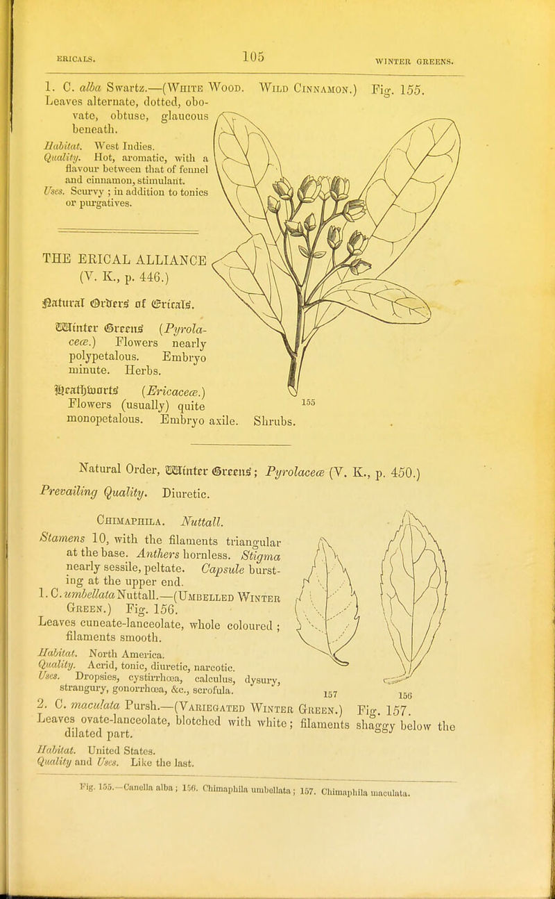 WINTER GREENS. 1. C. alba Swartz.—(White Wood. Wild Cinnamon.) Fio-. 155. Leaves alternate, clotted, obo- vate, obtuse, glaucous beneath. Habitat. West Indies. Quality. Hot, aromatic, with a flavour between that of fennel and cinnamon, stimulant. Uses. Scurvy ; in addition to tonics or purgatives. THE ERICAL ALLIANCE (V. K, p. 446.) ZKSiiitcr (Srfcit^ {Pyrola- cece.) Flowers nearly polypetalous. Embryo minute. Herbs. !i?fart)tuDrtS (Bricacecs.) Flowers (usually) quite monopetalous. Embryo axile. Sbrubs. Natural Order, TOuttn-<§i-mi^; Pyrolacece (V. K., p. 450.) Prevailing Quality. Diuretic. Chimapiiila. Nuttall. Stamens 10, with the filaments triangular at the base. Anthers hovvXn^s. Stigma nearly sessile, peltate. Capsule burst- ing at the upper end. 1. C.z«mie&toNuttall.—(Umbelled Winter Green.) Fig. 156. Leaves cuneate-lanceolate, whole coloured ; filaments smooth. Habitat. North America. Quality. Acrid, tonic, diuretic, narcotic. Uses. Dropsies, cystirrhoea, calculus, dysury, r;->-' strangury, gouorrhcea, &c., scrofula. 157 2. C. maculata Pursh.—(Variegated Winter Green.) Fio- 157 Leaves ovate-lanceolate, blotched with white; filaments shaggy below the dilated part. Habitat. United States. Quality and Uses. Like the last. Fig. 1.55.-Cnnella alba; ir,o. Chimaphila umbellata; 157. Chimnplula maoulata.