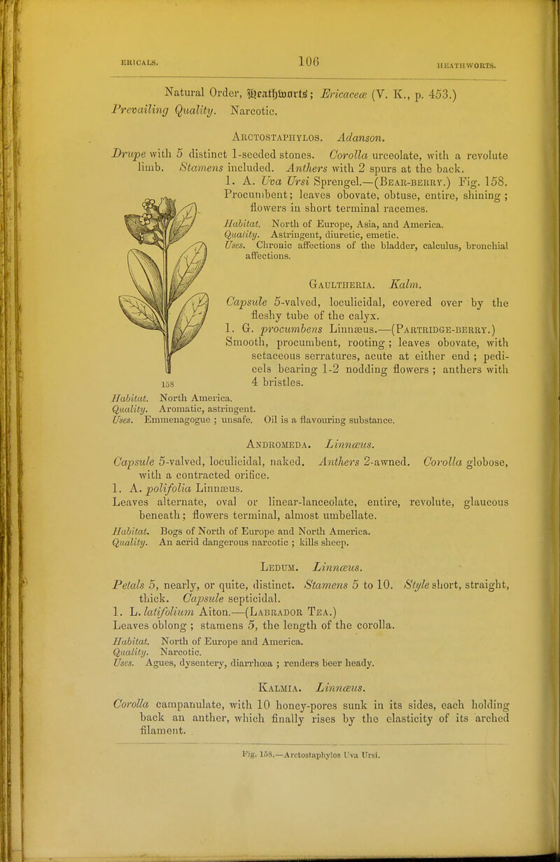 HEATH WOllTS. Natural Order, |[jcflfl)ta0rt^; E) 'icacece (V. K., p. 453.) Prevailing Quality. Narcotic. Arctostaphylos. Adanson. Drupe with 5 distinct 1-seeded stones. Corolla urceolate, with a rcvolute limb. Stamens included. Anthers with 2 spurs at the back. 1. A. Uva Ursi Sprengel.—(Bear-bekuv.) Fig. 158. Procumbent; leaves obovate, obtuse, entire, shining; flowers in short terminal racemes. IlahUat. North of Europe, Asia, and America. Quality. Astringent, diuretic, emetic. Uses. Chronic affections of the bladder, calculus, bronchial affections. Gaultheria. Kalm. Capsule 5-valved, loculicidal, covered over by the fleshy tube of the calyx. 1. G. procumhens Linnasus.—(Partridge-berry.) Smooth, procumbent, rooting ; leaves obovate, with setaceous serratures, acute at either end ; pedi- cels bearing 1-2 nodding flowers ; anthers with 138 4 bristles. Habitat. North America. Quality. Aromatic, astringent. Uses. Emmenagogue ; unsafe. Oil is a flavom-iug substance. Andromeda. Linncetcs. Capsule 5-valved, loculicidal, naked. Anthers 2-awned. Corolla globose, with a contracted orifice. 1. A. polifolia liinnssvLS. Leaves alternate, oval or linear-lanceolate, entire, revolute, glaucous beneath; flowers terminal, almost umbellate. Hahitat. Bogs of North of Europe and North America. Quality. An acrid dangerous narcotic ; kills sheen. Ledttm. Linncsus. Petals 5, nearly, or quite, distinct. Stamens 5 to 10. /S'/y/e short, straight, thick. Capsule septicidal. 1. h. latifolium Aiton.—(Labrador Tea.) Leaves oblong ; stamens 5, the length of the corolla. Habitat. North of Europe and America. Quality. Narcotic. Uses. Agues, dysentery, diarrhoea ; renders beer heady. Kalmia. Linnceus. Corolla campanulate, with 10 honey-pores sunk in its sides, each holding back an anther, which finally rises by the elasticity of its ai'ched filament. Fig. 158.—Avcto3tap]iylo8 LWa Ursi.