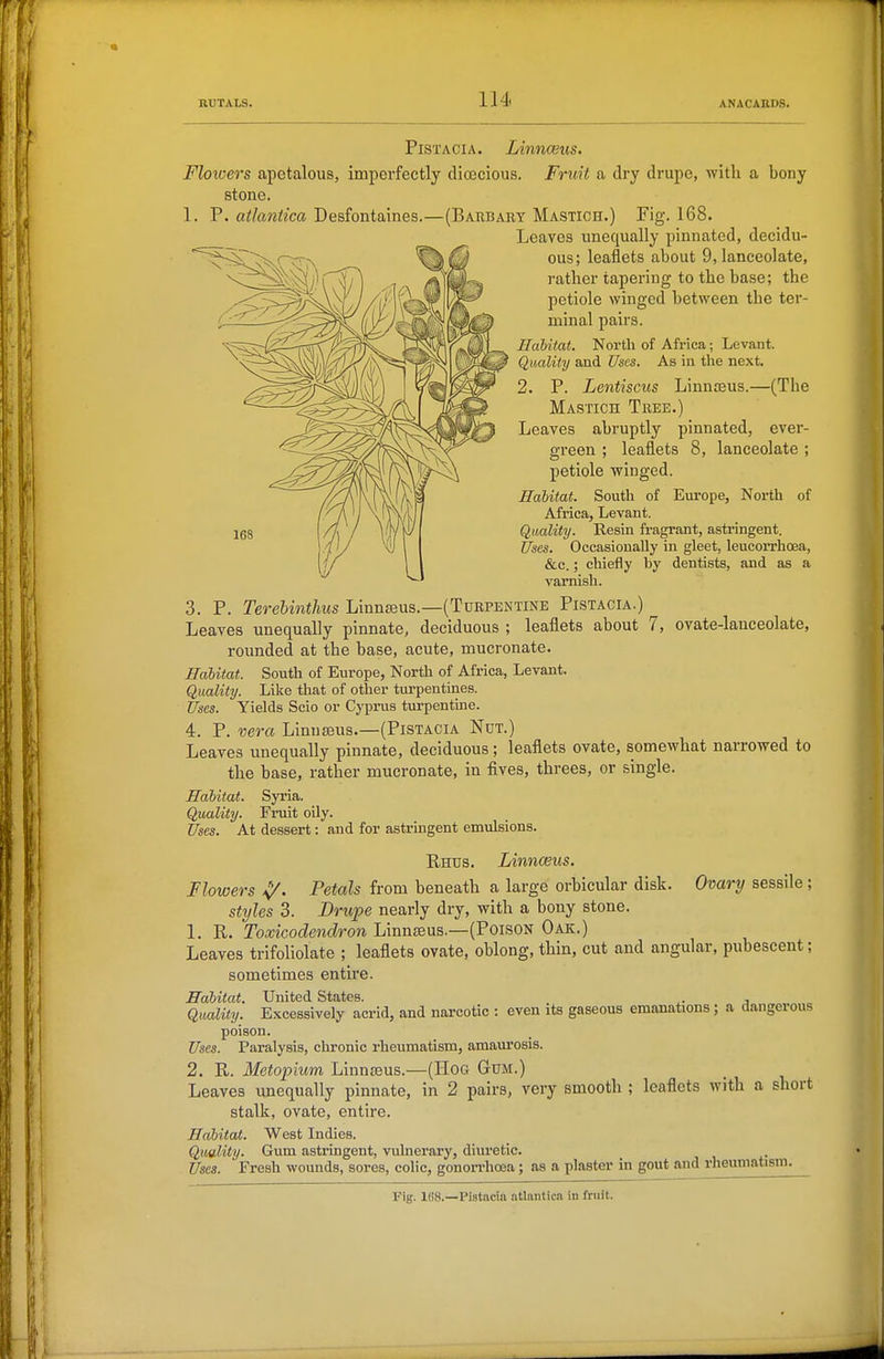 PiSTACiA. Linnwus. Floioers apetalous, imperfectly dioecious. Fruit a dry drupe, with a bony stone. 1. P. atlantica Desfontaines.—(Barbary Mastich.) Fig. 168. Leaves unequally pinnated, decidu- ous; leaflets about 9, lanceolate, rather tapering to the base; the petiole winged between the ter- minal pairs. Habitat. North of Africa; Levant. Quality and Uses. As in the next. 2. P. Lentiscus Linnceus.—(The Mastich Tree.) Leaves abruptly pinnated, ever- green ; leaflets 8, lanceolate; petiole winged. Habitat. South of Europe, North of Africa, Levant. Qaality. Resin fragrant, astringent. Uses. Occasionally in gleet, leucorrlicea, &c.; chiefly by dentists, and as a varnish. 3. P. Terebinthus Linnteus.—(Turpentine Pistacia.) Leaves unequally pinnate, deciduous ; leaflets about 7, ovate-lanceolate, rounded at the base, acute, mucronate. Habitat. South of Europe, North of Africa, Levant. Quality. Like that of other turpentines. Uses. Yields Scio or Cyprus tui'pentine. 4. P. vera Linuseus.—(Pistacia Nut.) Leaves unequally pinnate, deciduous; leaflets ovate, somewhat narrowed to the base, rather mucronate, in fives, threes, or single. Habitat. Syria. Quality. Fruit oily. Uses. At dessert: and for astringent emulsions. Rhus. Linnceus. Flowers ^. Petals from beneath a large orbicular disk. Ovary sessile; styles 3. Drupe nearly dry, with a bony stone. 1. R. Toxicodendron Linnseus.—(Poison Oak.) Leaves trifoliolate ; leaflets ovate, oblong, thin, cut and angular, pubescent; sometimes entire. Habitat. United States. , Quality. Excessively acrid, and narcotic : even its gaseous emanations; a dangerous poison. Uses. Paralysis, chi-onic rheumatism, amaurosis. 2. R. Metopium Linnaeus.—(Hog Gum.) Leaves unequally pinnate, in 2 pairs, very smooth ; leaflets with a short stalk, ovate, entire. Habitat. West Indies. Quality. Gum astringent, vulnerary, diuretic. Uses. ' Fresh wounds, sores, colic, gonorrhoea; as a plaster in gout and rheumatism. Fig. IBS.—Pistacia ntlanticn in fruit.