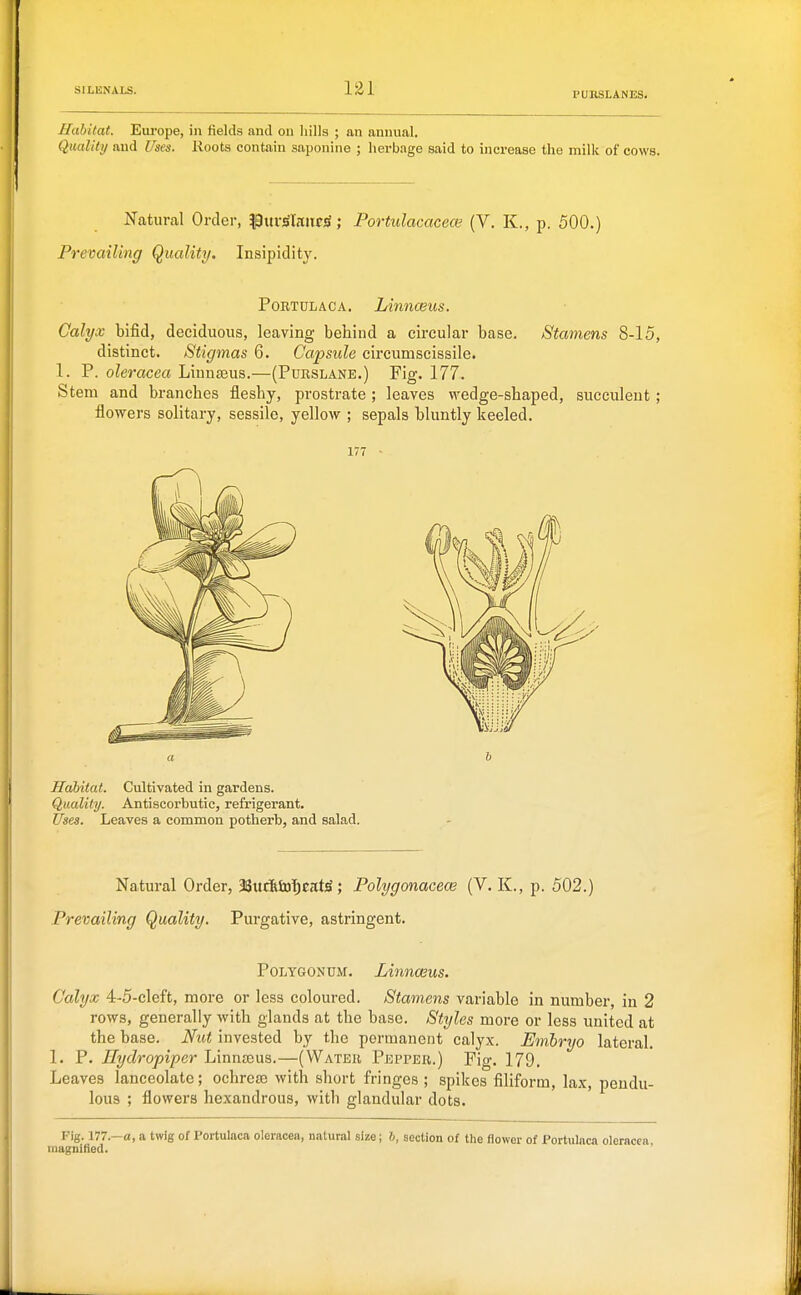 PURSLANES. Habitat. Europe, in fields and on hills ; an annual. Quality and Uses. Koots contain saponine ; herbage said to increase the milk of cows. Natural Order, Pm-^Ijiiipji; Portulacacece (V. K., p. 500.) Prevailing Quality. Insipidity. PoRTULACA. Linnceus. Calyx bifid, deciduous, leaving behind a circular base. Stamens 8-15, distinct. Stigmas 6. Capsule circumscissile. 1. P. oleracea Liunteus.—(Purslane.) Fig. 177. Stem and branches fleshy, prostrate ; leaves wedge-shaped, succulent ; flowers solitary, sessile, yellow ; sepals bluntly keeled. 177 ■ Habitat. Cultivated in gardens. Quality. Antiscorbutic, refrigerant. Ifses. Leaves a common potherb, and salad. Natural Order, 38uc&ti)T)cat^; Polygonacece (V. K., p. 502.) Prevailing Quality. Purgative, astringent. Polygonum. Linnasus. Calyx 4-5-cleft, more or less coloured. Stamens variable in number, in 2 rows, generally with glands at the base. Styles more or less united at the base. Nut invested by the permanent calyx. Emhryo lateral. 1. P. Hydropiper Linnaeus.—(Water Pepper.) Pig. 179. Leaves lanceolate; ochroee with short fringes ; spikes filiform, lax, pendu- lous ; flowers hexandrous, with glandular dots. Fig. 177.—a, a twig of Portulaca oleracea, natural size; 6, section of tlie flower of Portulaca oleracea magnified.