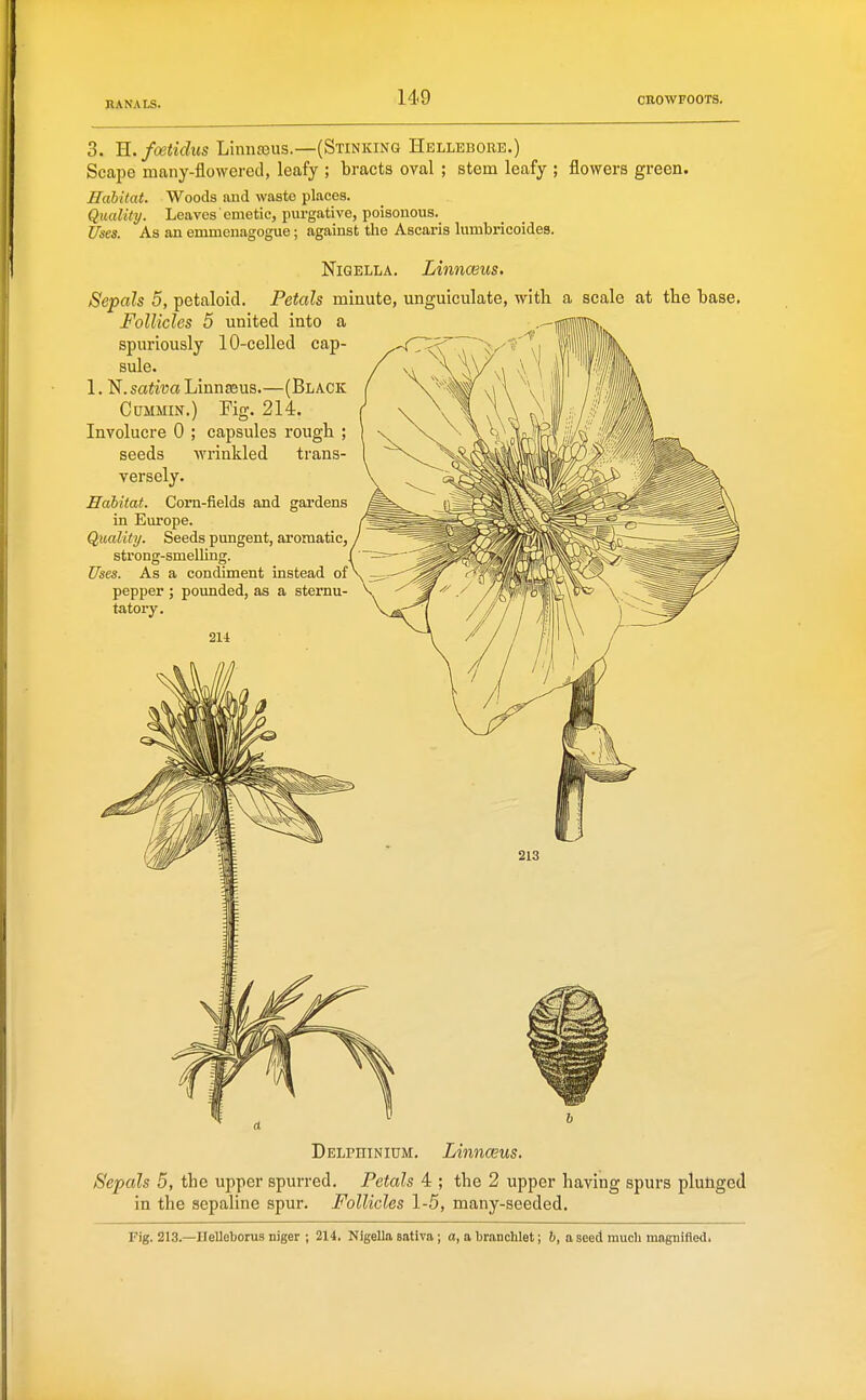 3. U./cetidus Linufeus,—(Stinking Hellebore.) Scape many-flowered, leafy ; bracts oval ; stem leafy ; flowers green. Habitat. Woods and waste places. Quality. Leaves emetic, piu-gative, poisonous. Uses. As an emmcnagogue; against the Ascaris lumbricoides. NiGELLA. Liniiceus, Sepals 5, petaloid. Petals minute, unguiculate, with a scale at the base. Follicles 5 united into a spuriously 10-celled cap- sule. 1. N. saiiwa Linnaeus.—(Black Cummin.) Fig. 214. Involucre 0 ; capsules rough ; seeds wrinkled trans- versely. Habitat. Corn-fields and gardens in Europe. Quality. Seeds pungent, aromatic, strong-smelling. Uses. As a condiment instead of pepper ; pounded, as a sternu- tatory. 214 Delphinium. Linnceus. Sepals 5, the upper spurred. Petals 4 ; the 2 upper having spurs plunged in the sepaline spur. Follicles 1-5, many-seeded. Fig. 213.—Ilelleborus niger ; 214. Nigella sativa; a, a branchlet; b, a seed much magnified.