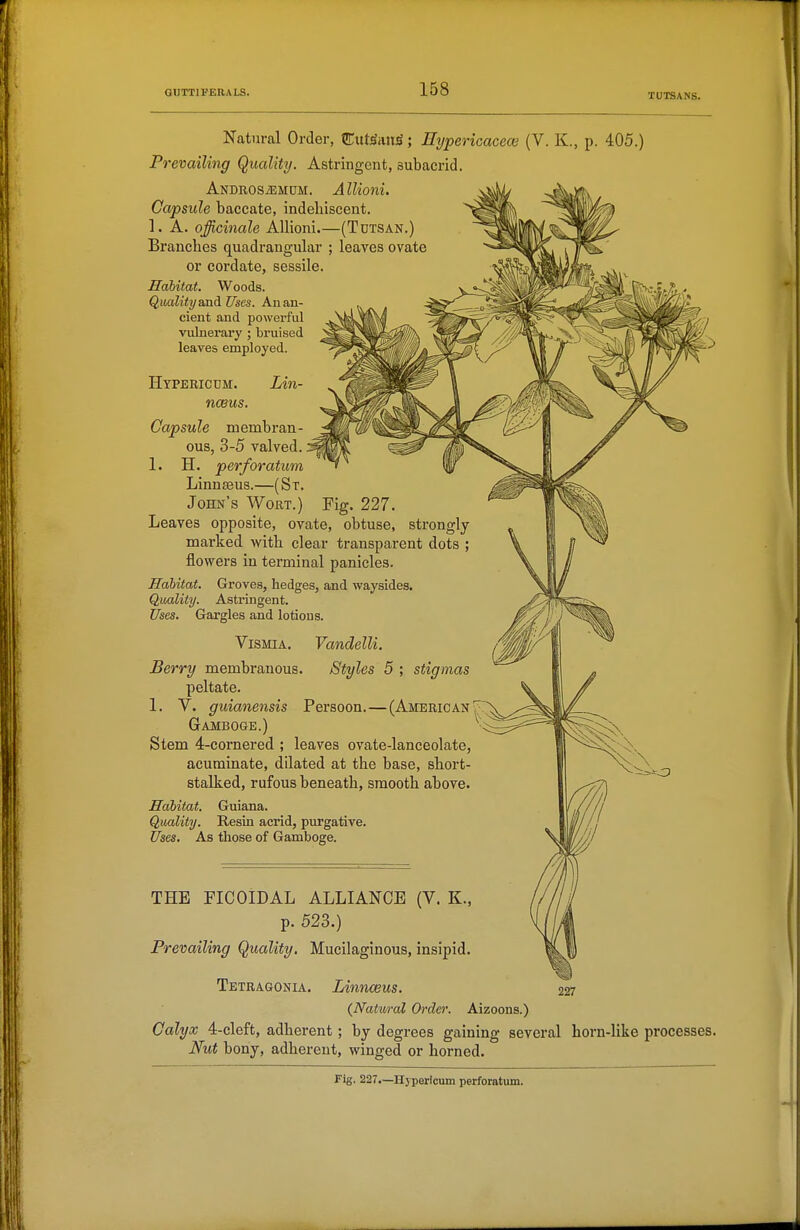 TUTSANS. Natural Order, CxttSiin^; Eypericacece (V. K., p. 405.) Prevailing Quality. Astringent, subacrid. Anbros^mom. Allioni. Capsule baccate, indeliiscent. 1. A. officinale Allioni.—(Tdtsan.) Branches quadrangular ; leaves ovate or cordate, sessile. Hahitat. Woods. Quality anUi Uses. An an- cient and powerful vulnerary ; bruised leaves employed. Hypericum. Lin- nceus. Capsule membran- ous, 3-5 valved. 1. H. perforatum Linnaeus.—(St. John's Wort.) Leaves opposite, ovate, obtuse, strongly marked with clear transparent dots ; flowers in terminal panicles. Habitat. Groves, hedges, and waysides. Quality. Astringent. Uses. Gargles and lotions. stigmas - (American ViSMiA. Vandelli. Berry membranous, peltate. 1. V. guianensis Persoon. ^^„„„^ „ Gamboge.) - Stem 4-cornered ; leaves ovate-lanceolate, acuminate, dilated at the base, short- stalked, rufous beneath, smooth above. Habitat. Guiana. Quality. Resin acrid, purgative. Uses, As those of Gamboge. THE FICOiDAL ALLIANCE (V. K., p. 523.) Prevailing Quality. Mucilaginous, insipid. Tetragonia. Linnaeus. {Natwral Order. Aizoons.) Calyx 4-cleft, adherent; by degrees gaining several horn-like processes. Nut bony, adherent, winged or horned. Fig. 227.—Hypericum perforatum.