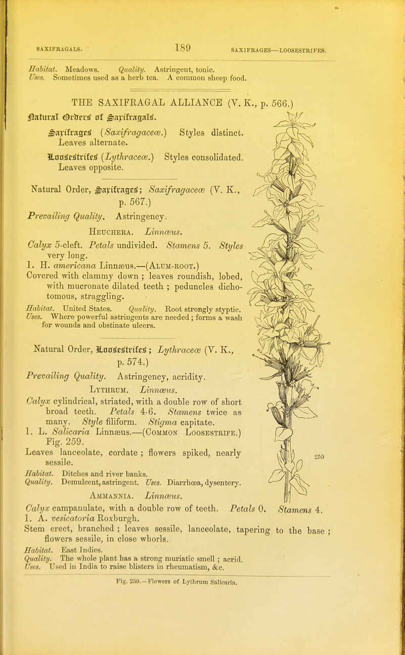 SAXIFRAGES—LOOSESTRIFES. Habitat. Meadows. Quality. Astringent, tonic. fses. Sometimes used as a herb tea. A commou sheep food. THE SAXIFRAGAL ALLIANCE (V. K., p. 566.) il2atttral cSrircviS of ^ajrtfragal^. J>a>nfrasc^ {Saxifragacece.) Styles distinct. Leaves alternate. 3lO0;SrStrtfc^ {Lythracece.) Styles consolidated. Leaves opposite. j^3^^\ Natural Order, ^ajrtfragc^; Saxifragacece (V. K., p. 567.) Prevailing Quality, Astringency. Heucheea. Linnceus. Calyx 5-cleft. Petals undivided. Stamens 5. Styles very long. 1. H. americana Linnseus.—(Altjm-root.) Covered with clammy down ; leaves roundish, lohed, with mucronate dilated teeth ; peduncles dicho- tomous, straggling. Habitat. United States. Quality. Root sti'ongly styptic. Uses. Where powerful astringents are needed; forms a wash for wounds and obstinate ulcers. V Natural Order, JtaodE^trifcS; Lythracece (V. K., p. 574.) Prevailing Quality. Astringency, acridity. Lythrum. Linnceus. Calyx cylindrical, striated, with a double row of short broad teeth. Petals 4-6. Stamens twice as many. Style filiform. Stigma capitate. 1. L. Salicaria Linnasus.—(Common Loosestrife.) Fig. 259. Leaves lanceolate, cordate ; flowers spiked, nearly sessile. Habitat. Ditches and river banks. Q;mlity. Demulcent, astringent. Uses. Diarrhoea, dysentery. Ammannia. Linnceus. Calyx campanulate, with a double row of teeth. Petals 0. Stamens 4. 1. A. vesicatoria Roxhuvgh. Stem erect, branched ; leaves sessile, lanceolate, tapering to the base ; flowers sessile, in close whorls. Habitat. East Indies. Quality. The whole plant has a strong muriatic smell ; acrid. UnM. Used in India to raise blisters in rheumatism, &c. 259 Fig. 259.—Flowers of Lythrum Salicaria.