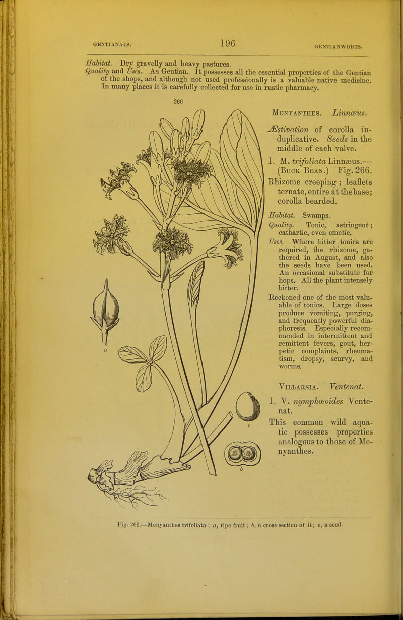 GENTUNWORTS. Habitat. Diy gravelly and heavy pastures. Quality and Uses. As Gentian. It possesses all the essential properties of the Gentian of the shops, and although not used professionally is a valuable native medicine. In many places it is cai-efully collected for use in rustic pharmacy. 266 Mentanthes. Linnceus. Estivation of corolla in- duplicatiye. Seeds in the middle of each valve. 1. M. trifoliata Linnaeus.— (BrrcK Bean.) Fig. 266. Rhizome creeping ; leaflets ternate, entire at thebase; corolla bearded. Hahitat. Swamps. Quality. Tonic, astringent; cathartic, even emetic. Uses. Where bitter tonics are required, the rhizome, ga- thered in August, and also the seeds have been used. An occasional substitute for hops. All the plant intensely bitter. Reckoned one of the most valu- able of tonics. Large doses produce vomiting, purging, and frequently powerful dia- phoresis. Especially recom- mended in intermittent and remittent fevers, gout, her- petic complaints, rheuma- tism, dropsy, scurvy, and ViLLARSiA. Venteiiat. 1. V. nymphwoides Vente- nat. This common wild aqua- tic possesses properties analogous to those of Me- nyanthes. Fig. 260.—Menyanthea trifoliata ; a, ripe fruit; h, a cross section of it; c, a seed