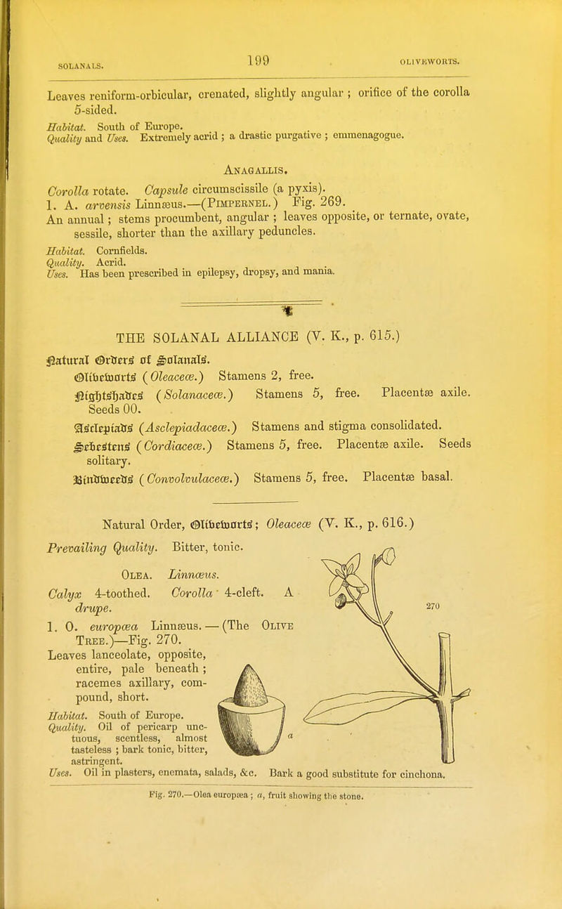 Leaves reniform-orbicular, crenated, slightly angular ; orifice of the corolla 5-sided. Habitat. South of Europe. Quality and Uses. Extremely acrid ; a drastic purgative ; emmenagogue. Anaqallis. Corolla rotate. Capsule circumscissile (a pyxis). 1. A. armms Linn£eus.—(Pimpernel.) Fig. 269. An annual; stems procumbent, angular ; leaves opposite, or ternate, ovate, sessile, shorter than the axillary peduncles. Habitat. Cornfields. Quality. Acrid. Uses. Has been prescribed in epilepsy, dropsy, and mama. THE SOLANAL ALLIANCE (V. K., p. 615.) iSatitral Orifcr^ of ^nlauaW. <!9Ii&ctO0rt^ (Oleacece.) Stamens 2, free. i^iQi)t^f)iitScS (Solanacew.) Stamens 5, free. Placentae axile. Seeds 00. <ESc\t^inis^ (Asclepiadacece.) Stamens and stigma consolidated. §)ebt&tm^ (Cordiacece.) Stamens 5, free. Placentae axile. Seeds solitary. MnOinettSS (Convolvulacece.) Stamens 5, free. Placentae basal. Natural Order, ©ItbetoortS; Oleacece (V. K., p. 616.) Prevailing (Quality. Bitter, t Olea. Linnaeus. Calyx 4:-toothed. Corolla drupe. 1. 0. europcea Linnaeus. — Tree.)—Fig. 270. Leaves lanceolate, opposite, entire, pale beneath ; racemes axillary, com- pound, short. Habitat. South of Europe. Quality. Oil of pericarp unc- tuous, scentless, almost tasteless ; bark tonic, bitter, astringent. Uses. Oil in plasters, enemata, salads, &c. Bark a good substitute for cinchona. Fig. 270.—Olea europ£e.a ; a, fruit showing the stone.