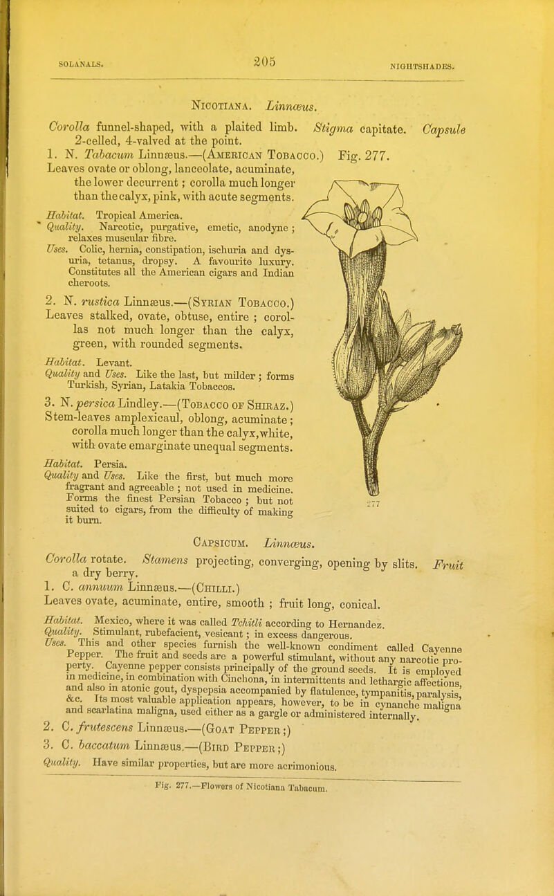 NicoTiANA. Linnceus. Corolla funnel-shaped, with a plaited limh. Stigma capitate. Capsule 2-celled, 4-valved at the point. 1. N. Tahacum lAnnsdws.—(American Tobacco.) Fig. 277. Leaves ovate or oblong, lanceolate, acuminate, the lower decurrent; corolla much longer than the calyx, pink, with acute segments. Habitat. Tropical America. Qmlity. Nai-cotic, pui-gative, emetic, anodyne; relaxes muscular fibre. Uses. Colic, hernia, constipation, ischuria and dys- ui'ia, tetanus, dropsy. A favourite luxury. Constitutes all the American cigars and Indian cheroots. 2. N. rustica Linnteus.—(Syrian Tobacco.) Leaves stalked, ovate, obtuse, entire ; corol- las not much longer than the calyx, green, with rounded segments. Habitat. Levant. Qmlity and Uses. Like the last, but milder ; forms Turkish, Syrian, Latakia Tobaccos. 3. N.^micaLindley.—(Tobacco of Shiraz.) Stem-leaves amplexicaul, oblong, acuminate; corolla much longer than the calyx,white, with ovate emarginate unequal segments. Habitat. Persia. Qmlity and Uses. Like the first, but much more fragrant and agreeable ; not used in medicine. Forms the finest Persian Tobacco ; but not suited to cigars, from the difficultv of makin? it bum. ^ Capsicum. Linnceus. Corolla rotate. Stamens projecting, converging, opening by slits, a dry berry. 1. C. annuum Linnseus.—(Chilli.) Leaves ovate, acuminate, entire, smooth ; fruit long, conical. Habitat. Mexico, where it was caUed Tchitli according to Hernandez. Quahiy. Stimulant, rubefacient, vesicant; in excess dangerous. Uses. This and other species furnish the weU-known condiment called Cayenne Pepper. The fruit and seeds are a powerful stimulant, without any narcotic pro- perty. Cayenne pepper consists principally of the ground seeds. It is employed m medicine, in combmation with Cmchona, ha intei-mittents and lethargic affections and also in atonic gout, dyspepsia accompanied by flatulence, tympanitis, pai-alysis,' &c Its most valuable application appears, however, to be in cynanche mahS and scarlatma maligna, used either as a gargle or administered internally. ^ 2. G. frutescens LinnsBm—(Goat Pepper;) 3. C. baccatum Linnaeus,—(Bird Pepper;) Quality. Have similar properties, but are more acrimonious. Fruit Pig. 277.—Flowera of Nicotiana Tabacum.