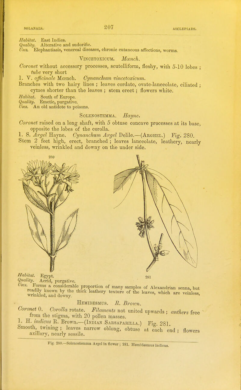 Habitat. East Indies. Quality. Alterative and sudorific. Uses. Elephantiasis, venereal diseases, chronic cutaneous affections, worms. ViNCETOXicuM. Moench. Coronet without accessory processes, scutelliform, fleshy, with 5-10 lobes ; tube very short 1. V. officinale Mosnch. Cynanchum vincetoxicum. Branches with two hairy lines ; leaves cordate, ovate-lanceolate, cihated ; cymes shorter than the leaves ; stem erect; flowers white. Habitat. South of Europe. Quality. Emetic, purgative. Ifses. An old antidote to poisons. SoLENOSTEMMA. Haym. Coronet raised on a long shaft, with 5 obtuse concave processes at its base, opposite the lobes of the coroUa. 1. S. Argel Hayne. Cynanchum Argel Delile.—(Arghel.) Fig. 280. Stem 2 feet high, erect, branched ; leaves lanceolate, leathery, nearly veinless, wiinkled and downy on the under side. 281 Habitat. Egypt. Quality. Acrid, purgative. Uses. Forms a considerable proportion of many samples of Alexandrian senna, but readily known by the thick leathery texture of the leaves, which are veinless. wrmkled, and downy. » Hemidesmus. B. Brown. Coronet 0. Corolla rotate. Filaments not united upwards ; anthers free irom the stigma, with 20 pollen masses. 1. H. indicus R. Brown.—(Indian Sarsaparilla.) Fig 281 Smooth twining ; leaves narrow oblong, obtuse at each end : flowers axillary, nearly sessile. Fig. 280.-Solenostomma Argel in flower; 281. Hemidesmus indicua.