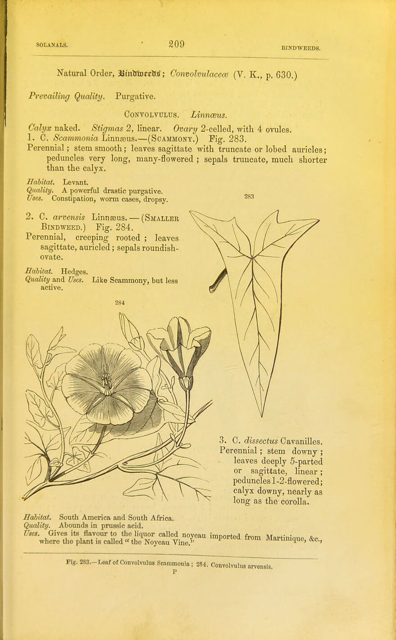 BINDWEEDS. Natural Order, Jiinhturcir^; Comolvulacew (V. K., p. 630.) Prevailing Quality. Purgative. Convolvulus. Linnmis. 283 Calyx naked. Stigmas 2, linear. Ovary 2-celled, with 4 ovules. 1. C. Scammonia LinnjExis (Scammony.) Fig. 283. Perennial; stem smooth; leaves sagittate with truncate or lohed auricles; peduncles very long, many-flowered ; sepals truncate, much shorter than the calyx. Habitat. Levant. Quality. A powerful drastic purgative. Uses. Constipation, worm cases, dropsy. 2. C. arvensis Linnaeus. — (Smaller Bindweed.) Fig. 284. Perennial, creeping rooted ; leaves sagittate, auricled; sepals roundish- ovate. Eahitat. Hedges. Quality a,n^ Uses. Like Scammony, but less active. 284 3. C. dissectus Cavanilles. Perennial; stem downy ; leaves deeply 5-parted or sagittate, linear; peduncles 1 -2-flowered; calyx downy, nearly as long as the corolla. Habitat. South America and South Africa. Quality. Abounds in pmssic acid. whSl^tliXTi^^^^^^^^^^ Martinique, &c., Fig. 283.-Leaf of Convolvulus Scammonia; 284. Convolvulus arvensis. P