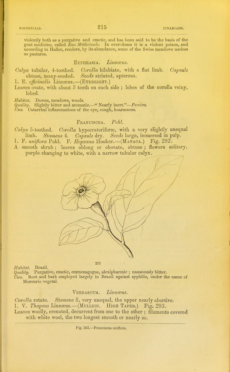 violently both as a purgative and emetic, and lias been said to be the basis of the gout medicine, called Eau Medicinale. In over-doses it is a violent poison, and according to Haller, renders, by its abundance, some of the Swiss meadows useless as pastm'es. Euphrasia. Linnceus. Calyx tubular, 4-toothed. Corolla bilabiate, with a flat limb. Capsule obtuse, many-seeded. Seeds striated, apterous. 1. E. officinalis Linnseus.—(Eyebrigiit.) Leaves ovate, with about 5 teeth on each side ; lobes of the corolla veiny, lobed. Habitat. Downs, meadows, woods. Quality. Slightly bitter and aromatic.— Nearly inert.—Pereira. Uses. Catarrhal inflammations of the eye, cough, hoarseness. Franciscea. Pohl. Calyx 5-toothed. Corolla hypocrateriform, with a very slightly unequal limb. Stamens 4. Capsule dry. Seeds large, immersed in pulp. 1. F. unifiora Pohl; F. Hopeana Hooker.—(Manaca.) Fig. 292. A smooth shrub ; leaves oblong or obovate, obtuse ; flowers solitary, 292 Habitat. Brazil. Qicalily. Purgative, emetic, emmenagogue, alexipliarmic ; nauseously bitter. Uses. Root and bark employed largely in BrazU against syphilis, under the name of Mercurio vegetal. Verbascum. Linnceus. Corolla rotate. Stamens 5, very unequal, the upper nearly abortive. 1. V. Thapsus Linnaeus.—(Mullein. High Taper.) Fig. 293. Leaves woolly, crenated, decurrent from one to the other ; filaments covered with white wool, the two longest smooth or nearly so. Fig. 282.—Franciscea uniflora.